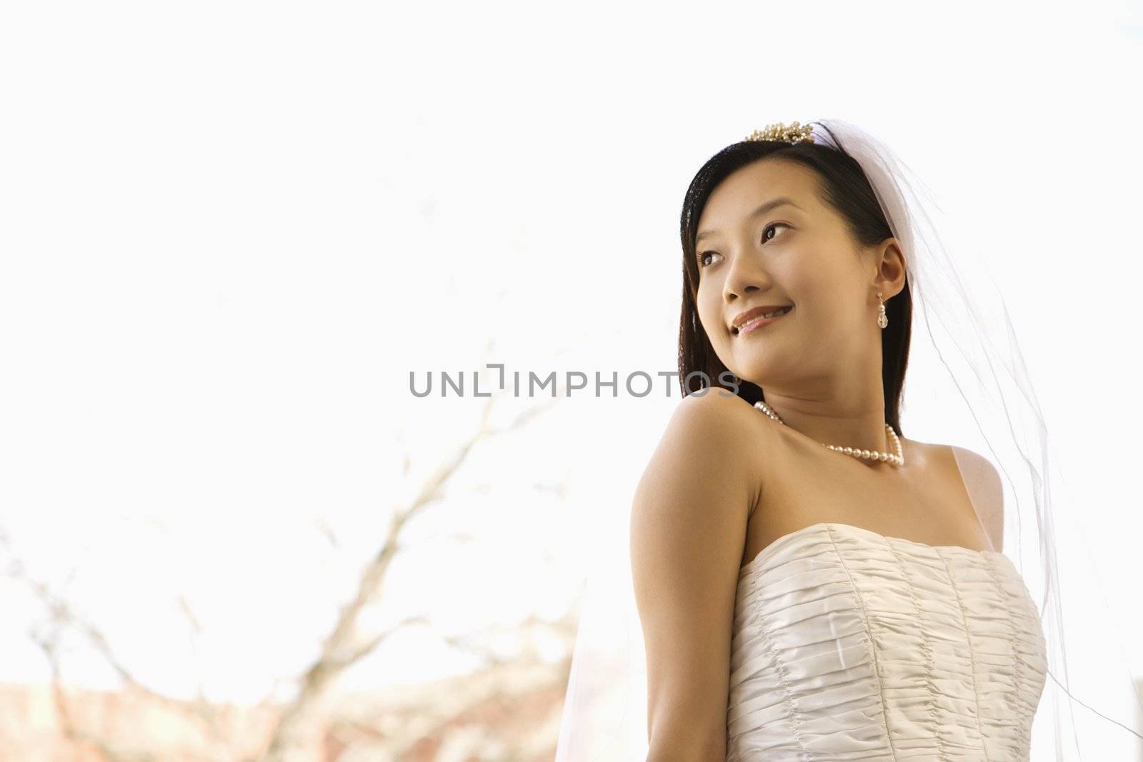 Portrait of an Asian bride.