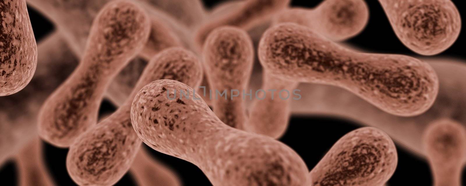Bacteria by 3pod