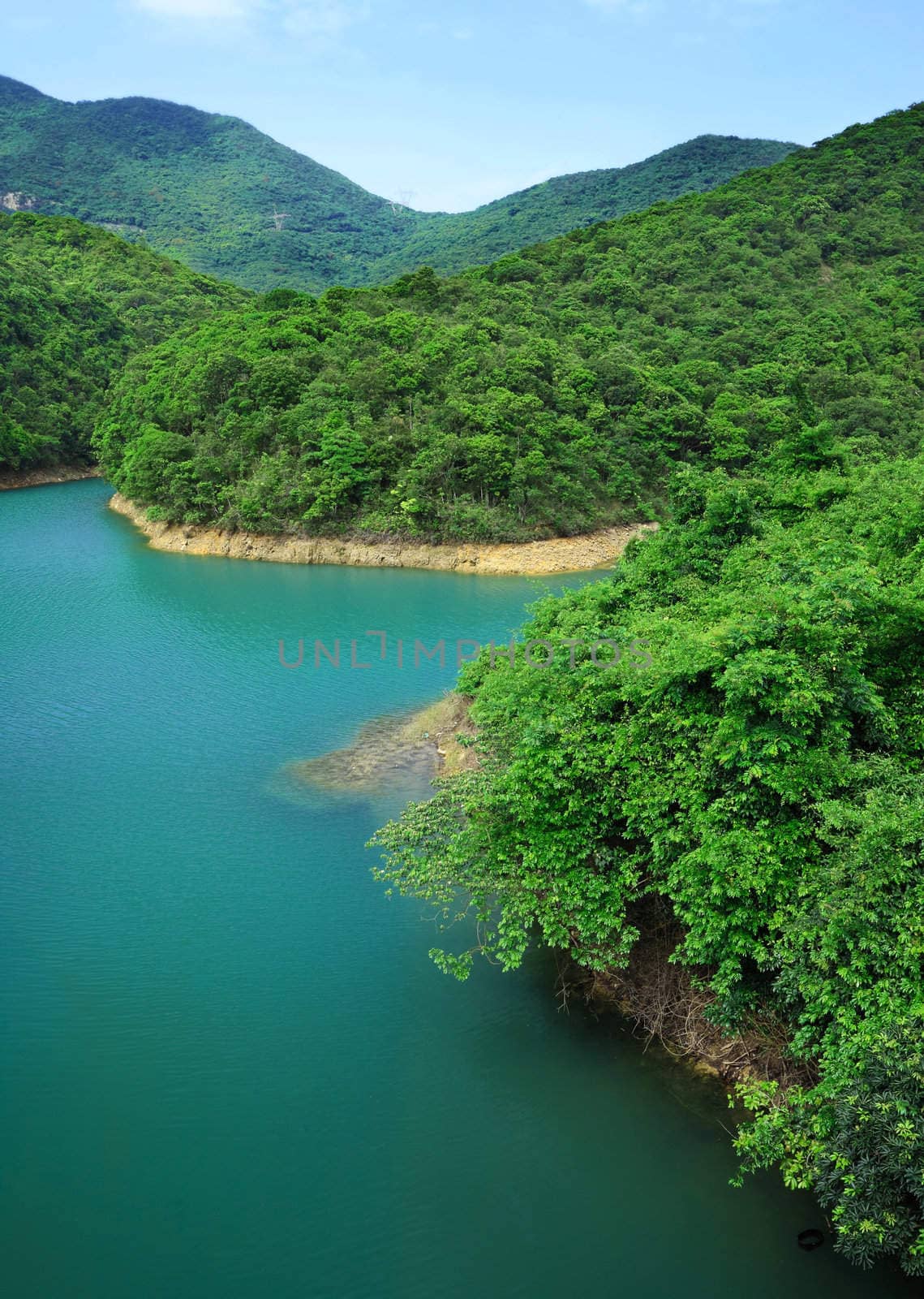 lake in forest