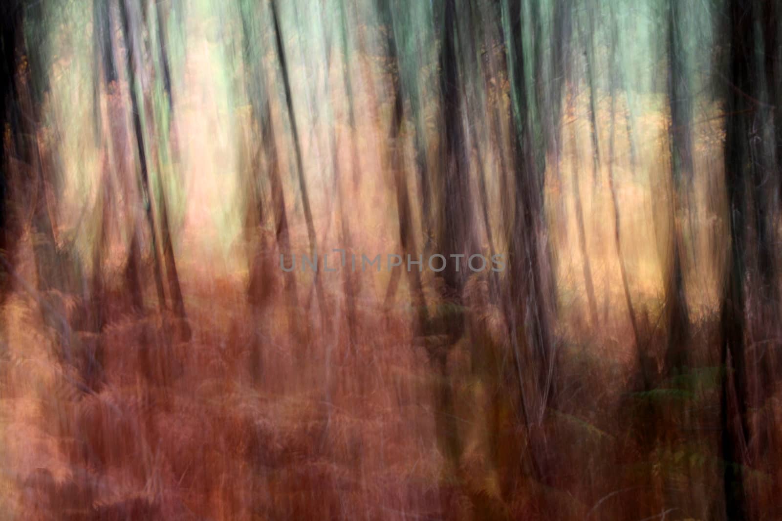 nice and cold autumn landscape