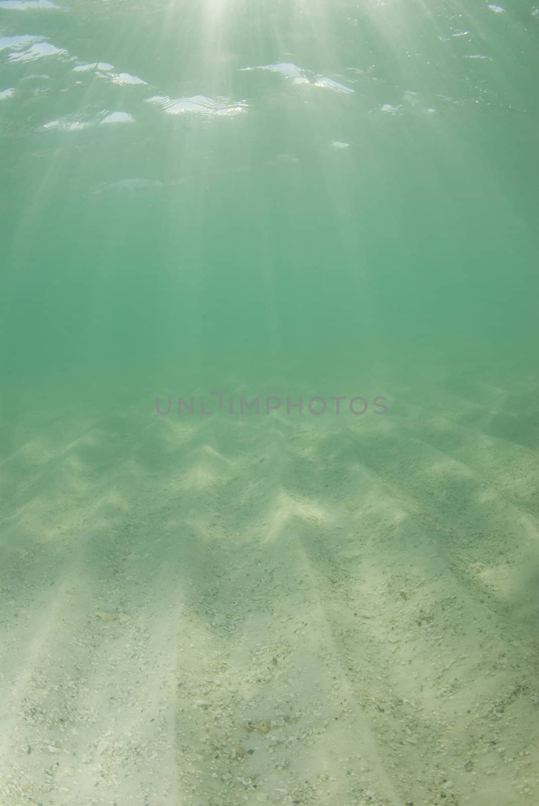 Underwater view of sunbeams stream through the surface of the ocean and dancing on the floor of the sea on a bright sunny day with dramatic sunrays.