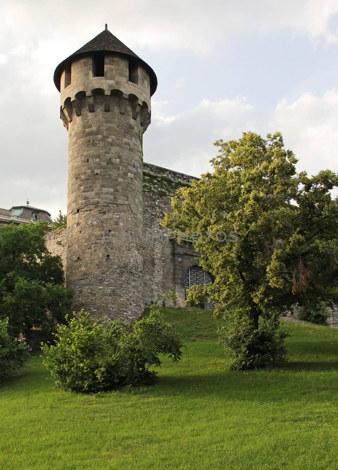 tower by gallofoto