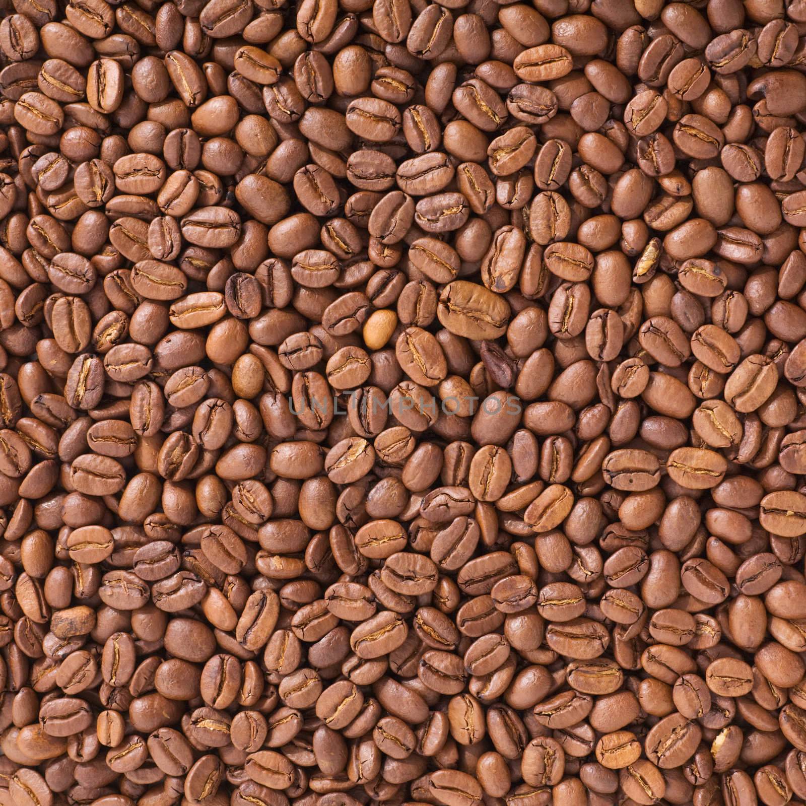 Texture generated by dark fried coffee beans