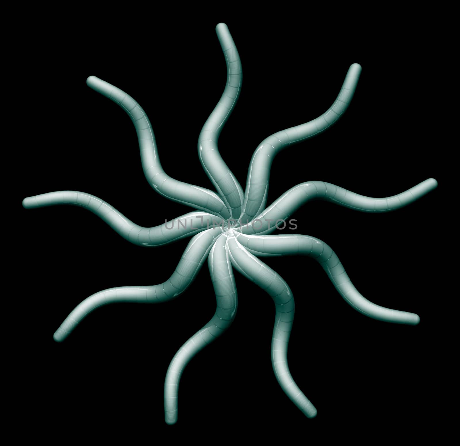 Abstract organic star on black background - 3d illustrationii