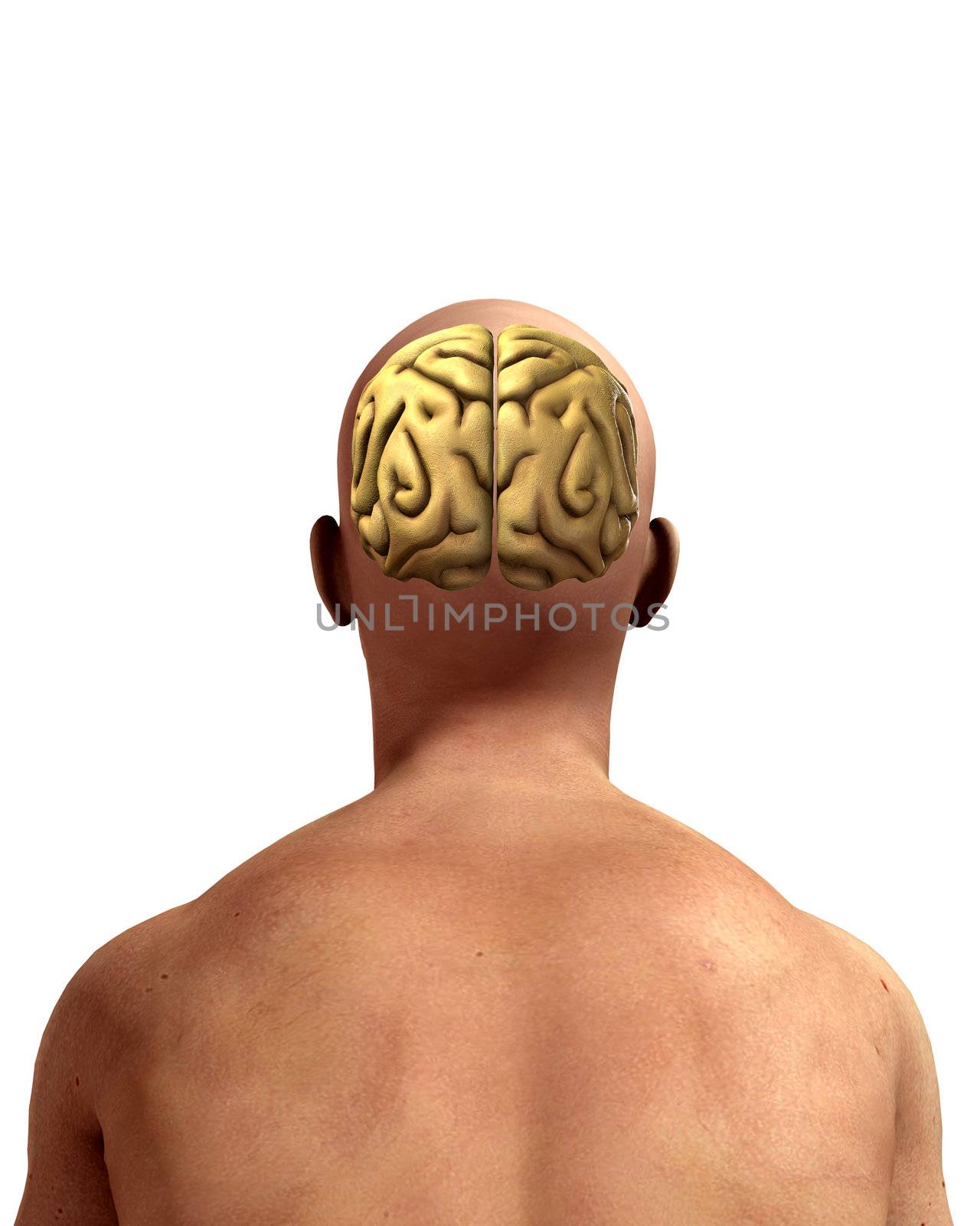 A brain within a mans head for thought concepts.