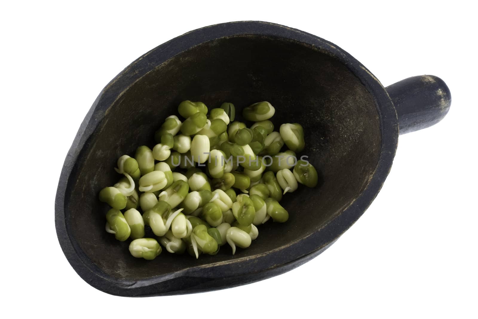 sprouting mung beans on a rustic wooden scoop isolated on white