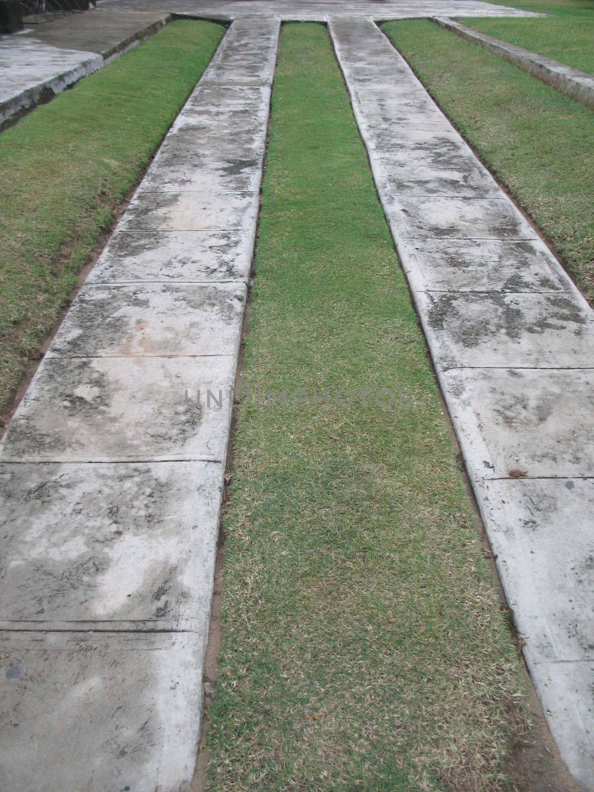 paths of concrete and grass
