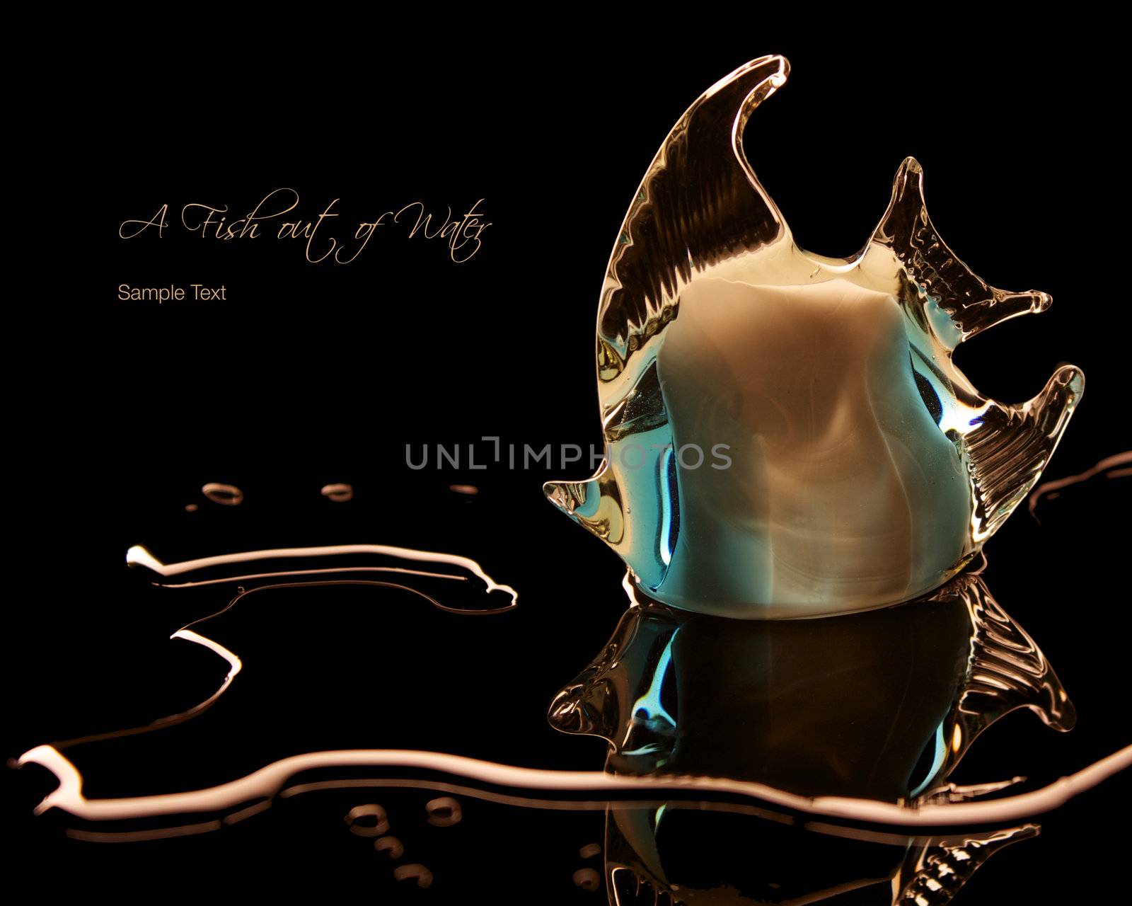 Glass Fish isolated on black with room for text