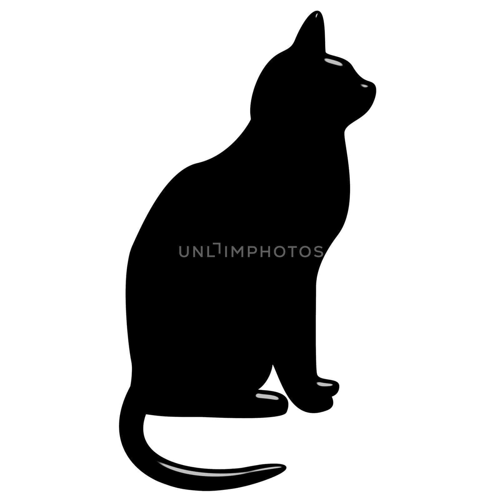 3d black cat isolated in white