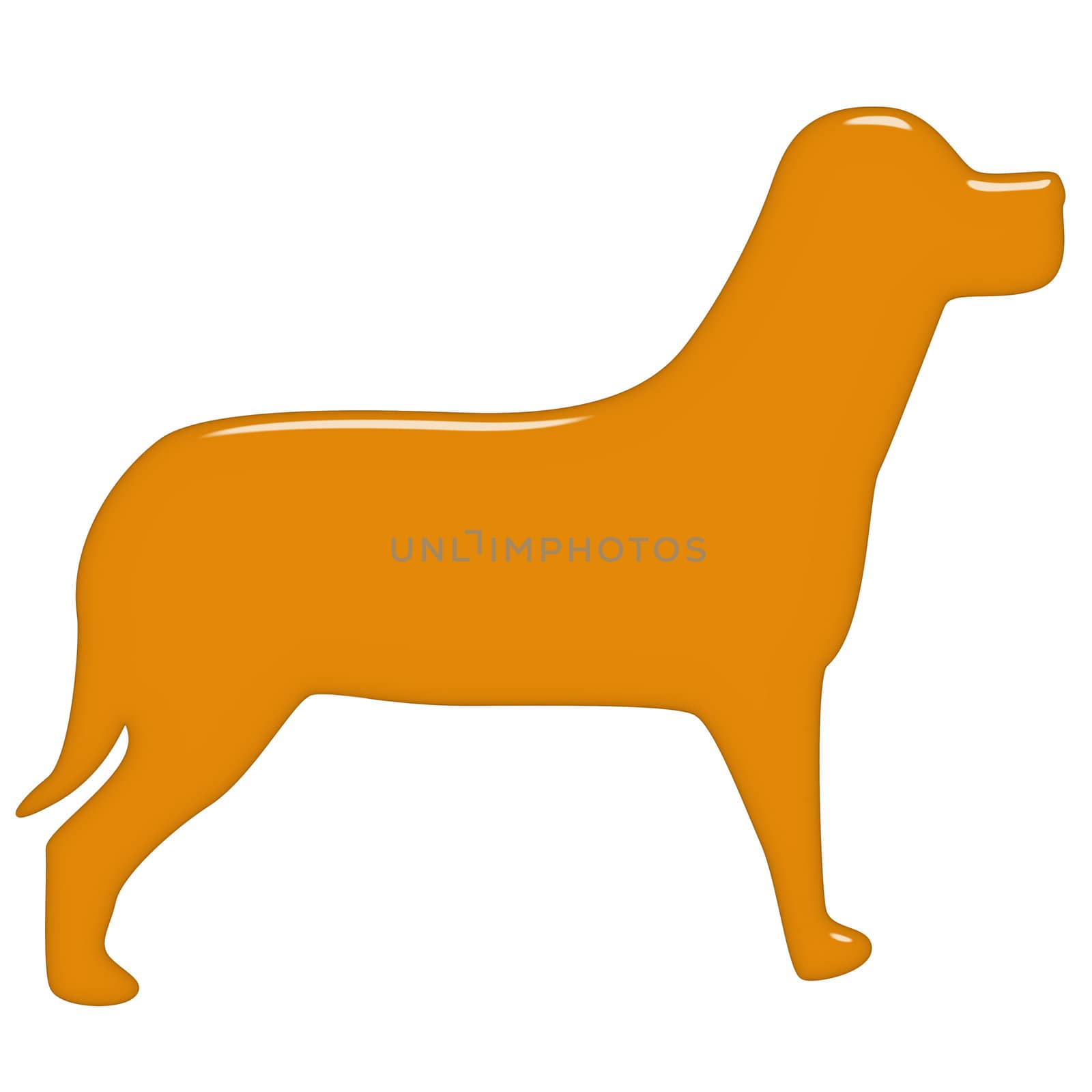 3d dog isolated in white