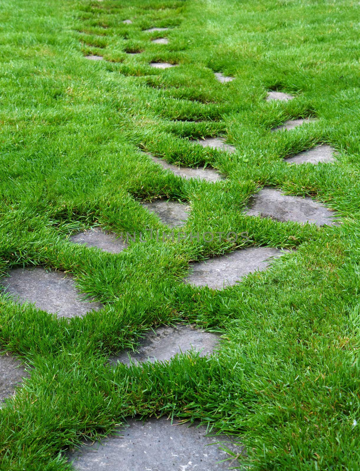 Stone  Paver Path on a lush green grass lawn