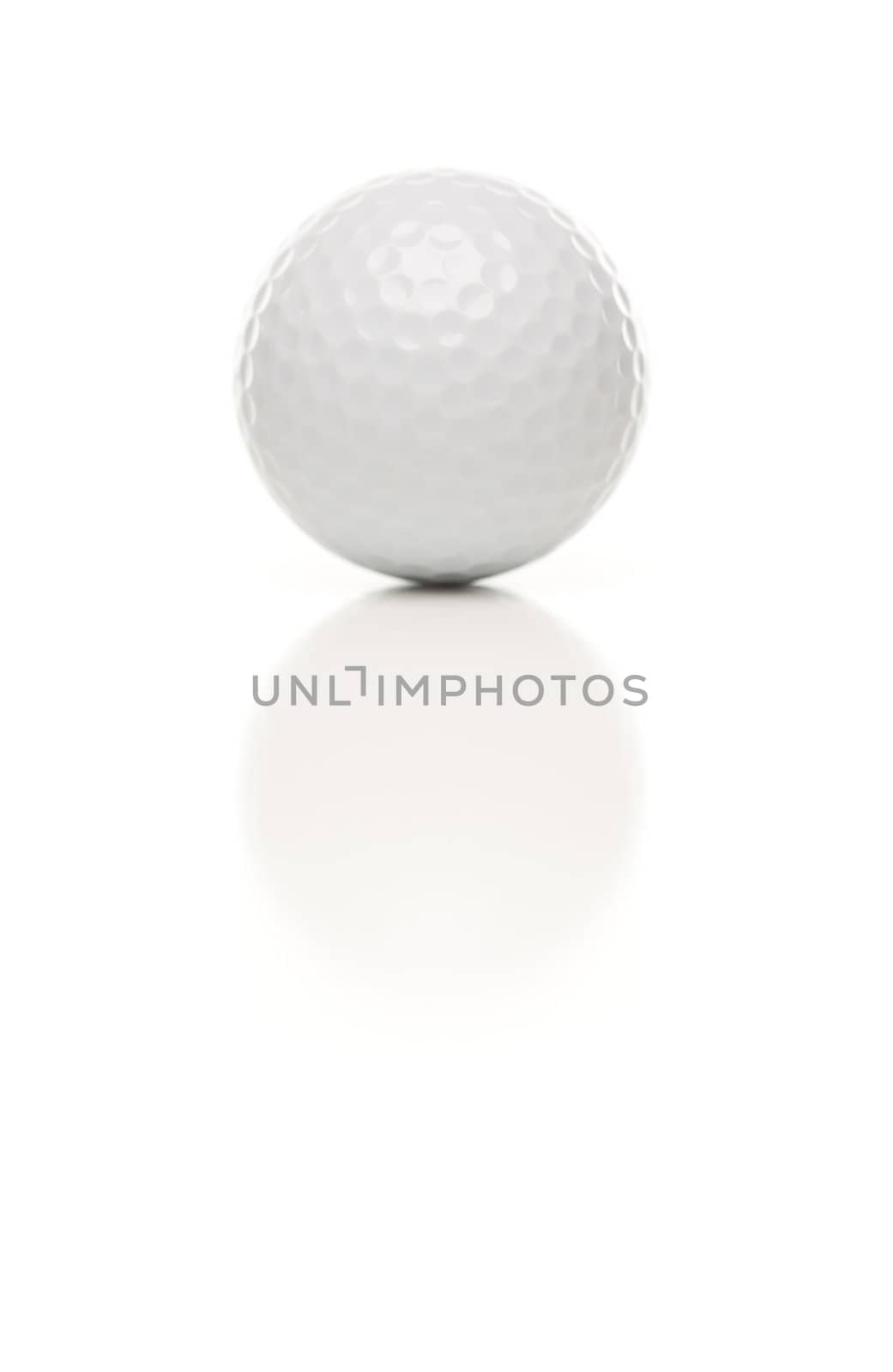 Single White Golf Ball on White by Feverpitched