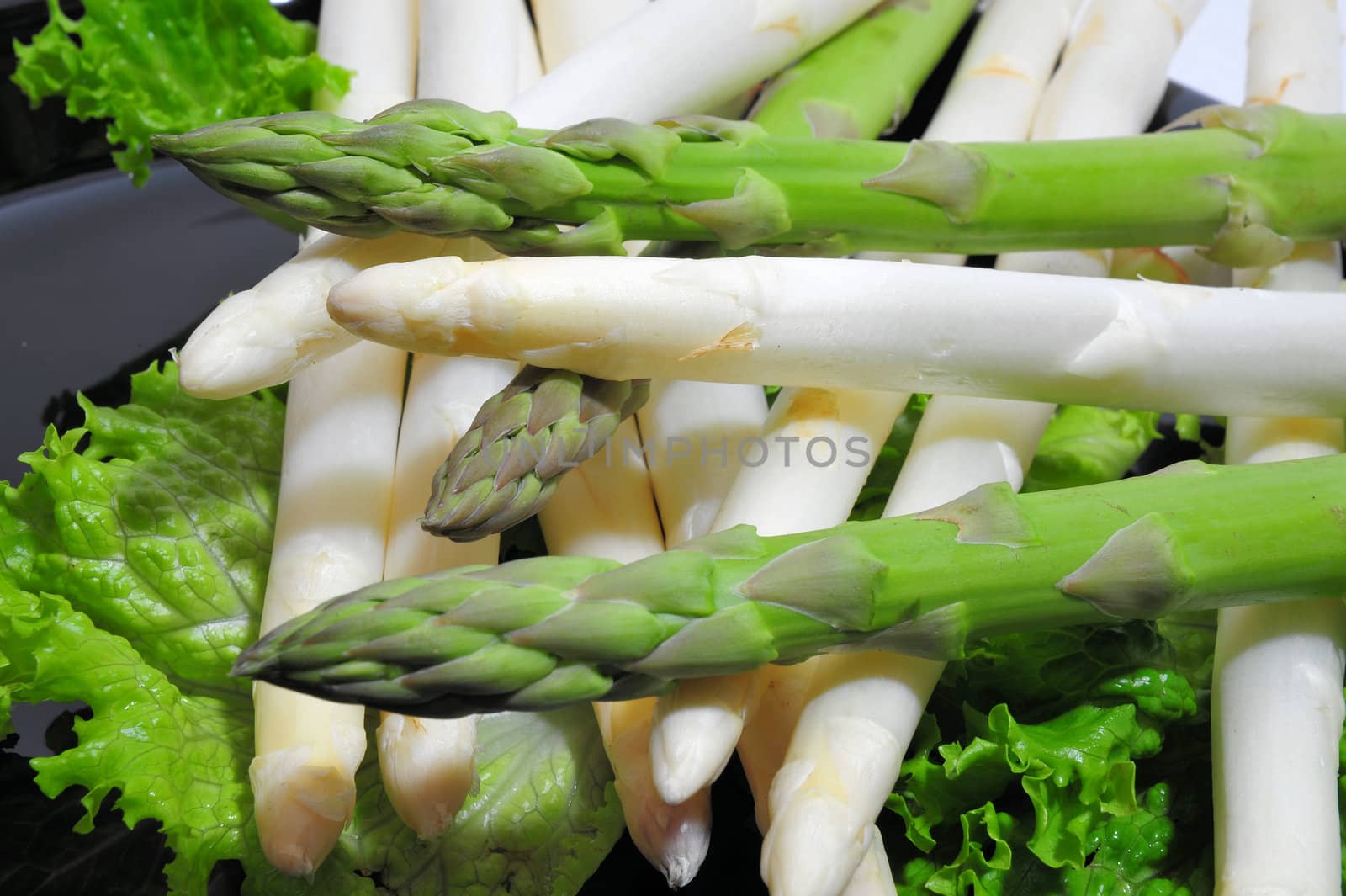 Green and white asparagus on a bed of lettuce