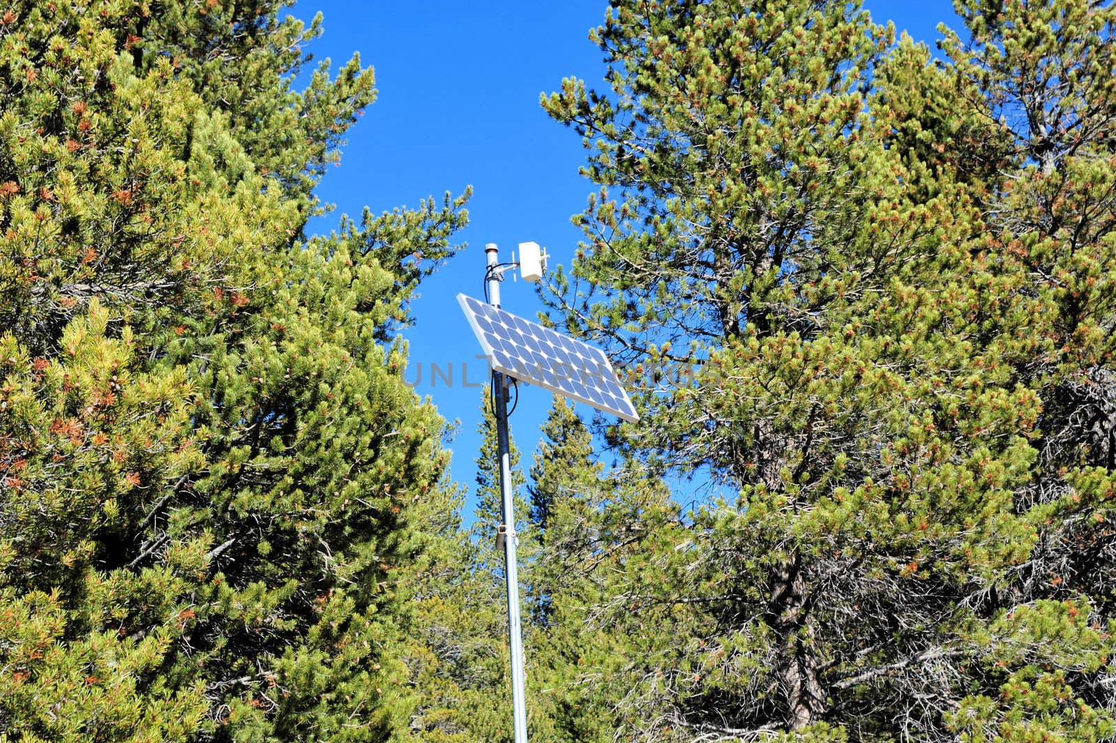 Solar power panel and transmitter located deep in te forest
