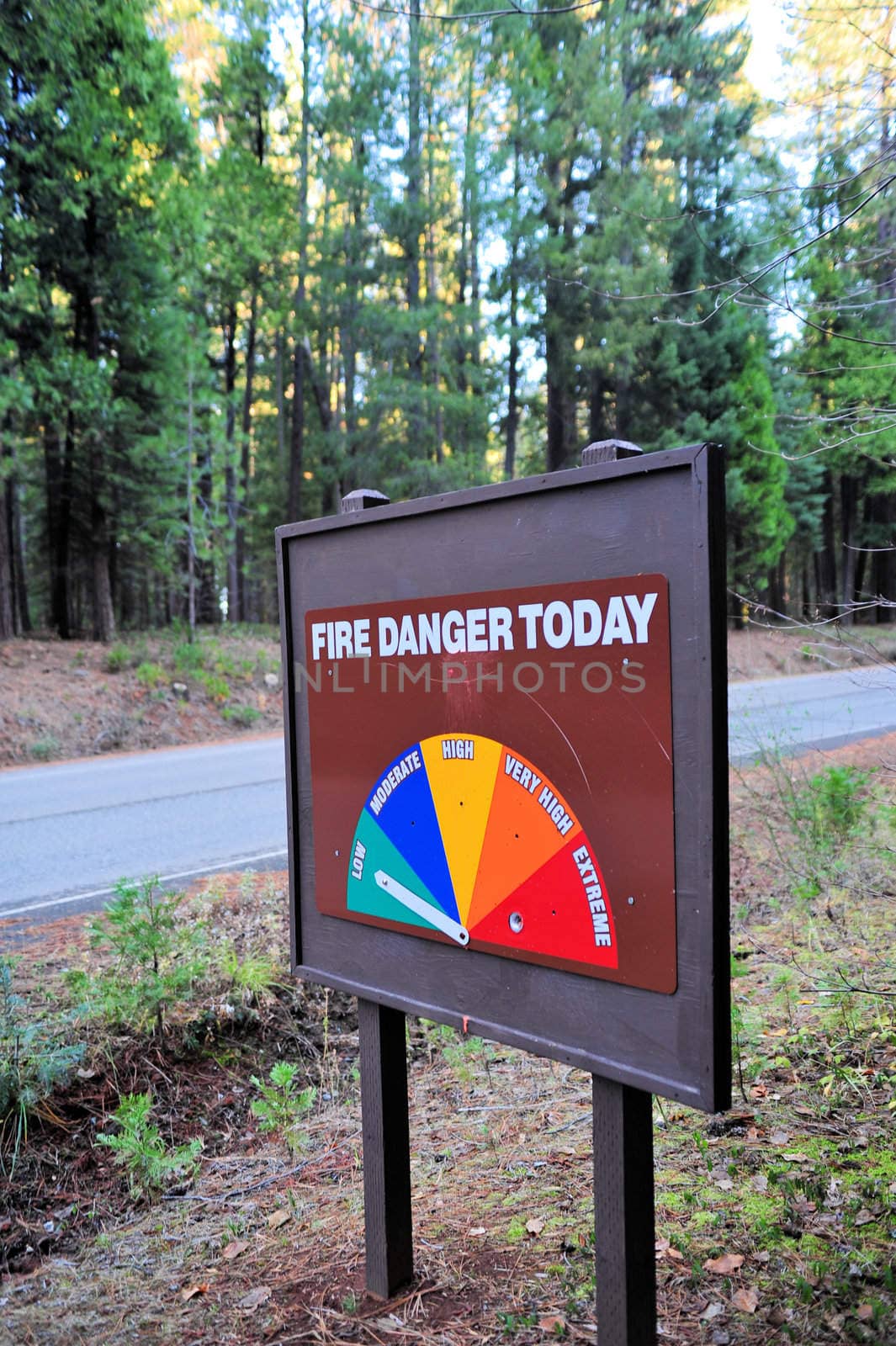 Sign in the forest that shows the level of fire danger that the forestry department has set