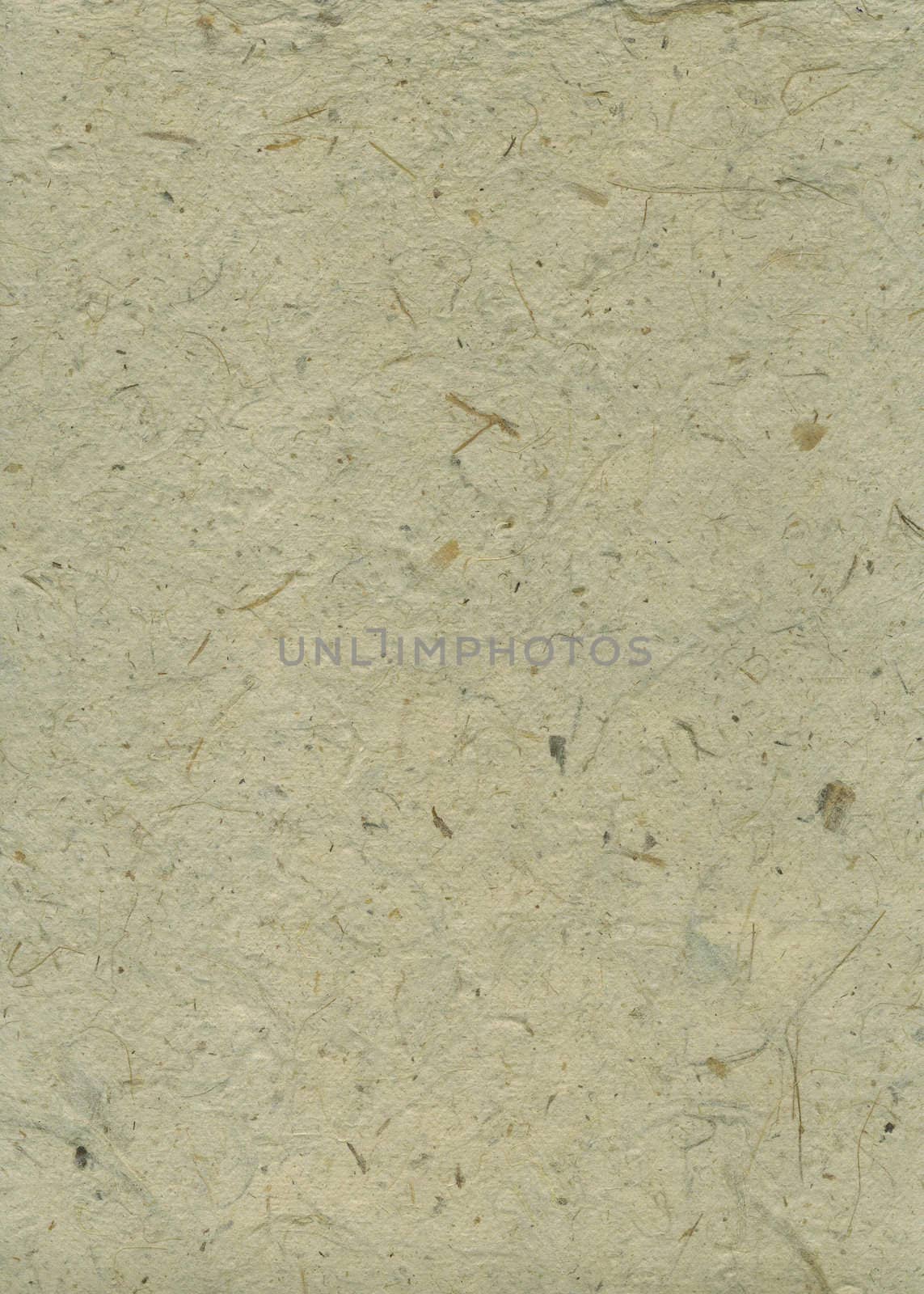 Detail of the surface of the handmade paper with remains of plants - natural product