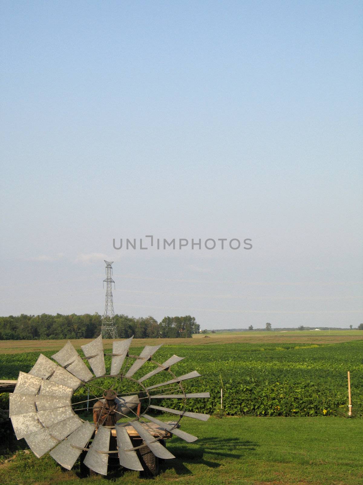 agricultural green field