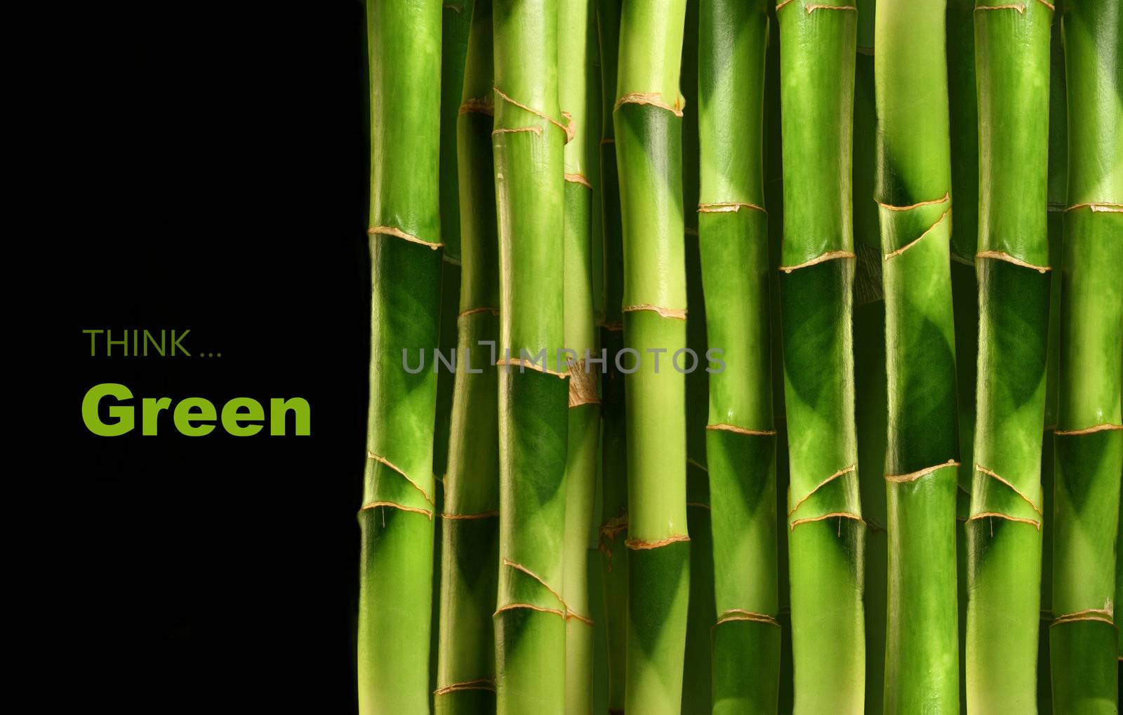Bamboo shoots stacked side by side