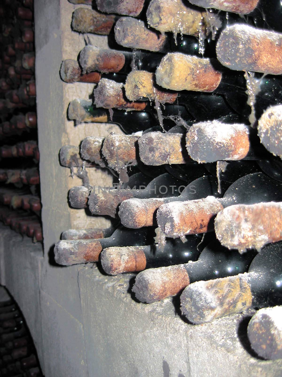 old wine bottles with mold in curing cellar