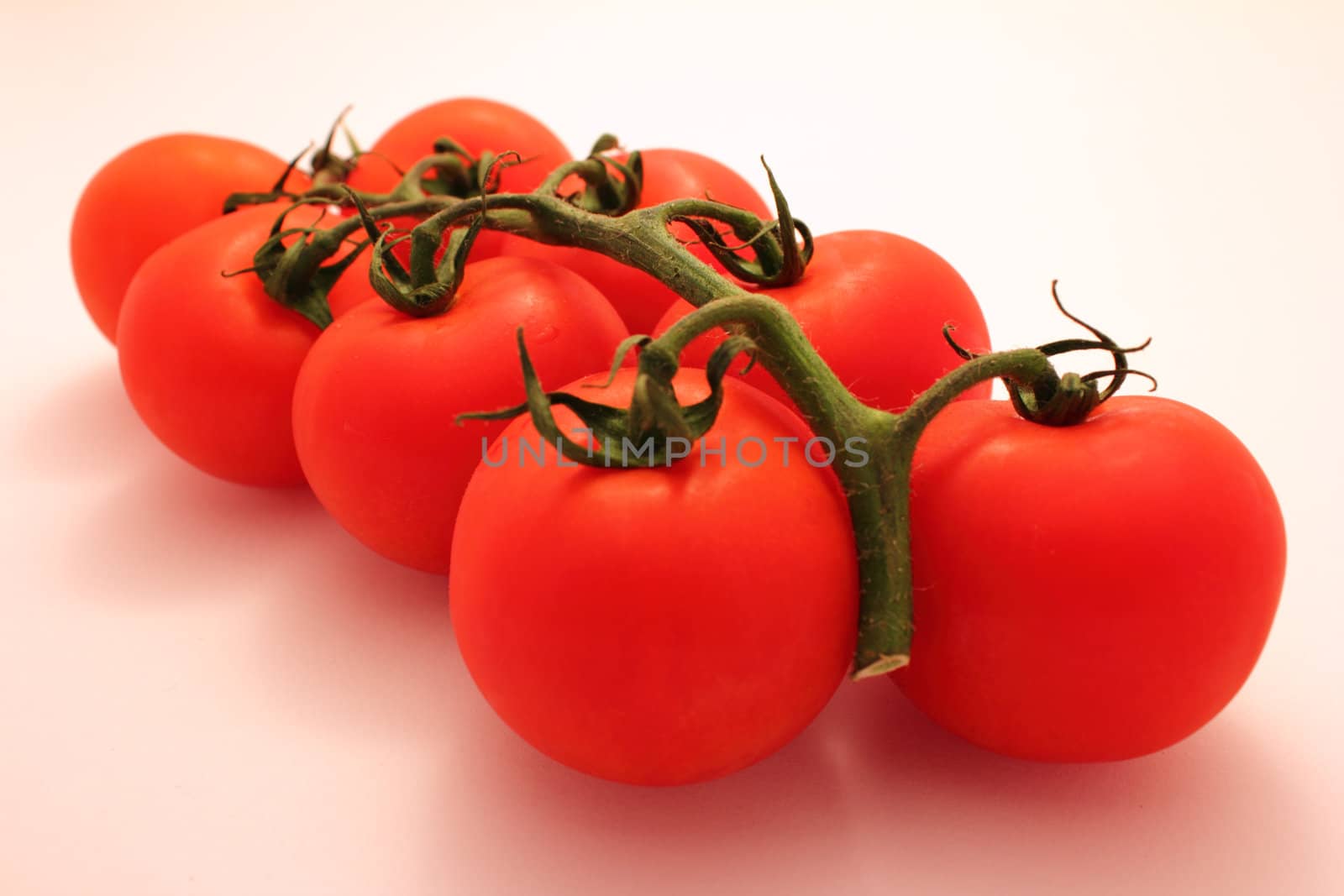 Fresh tomatos with green branch on white background.