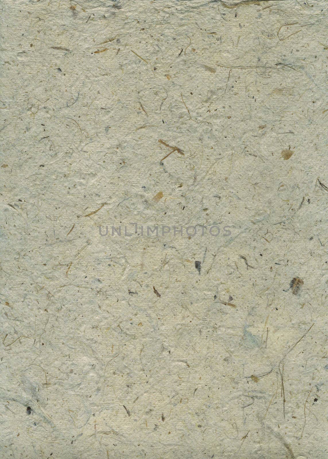 Detail of the surface of the handmade paper with remains of plants - natural product