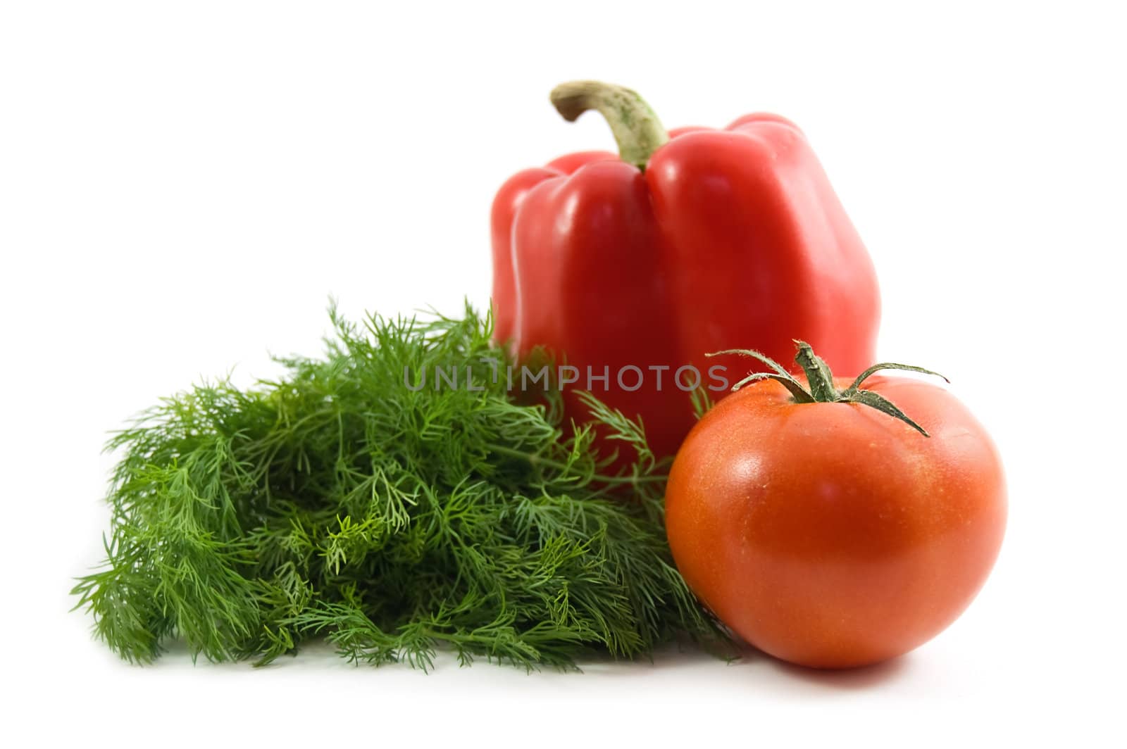 fresh vegetables isolated on white