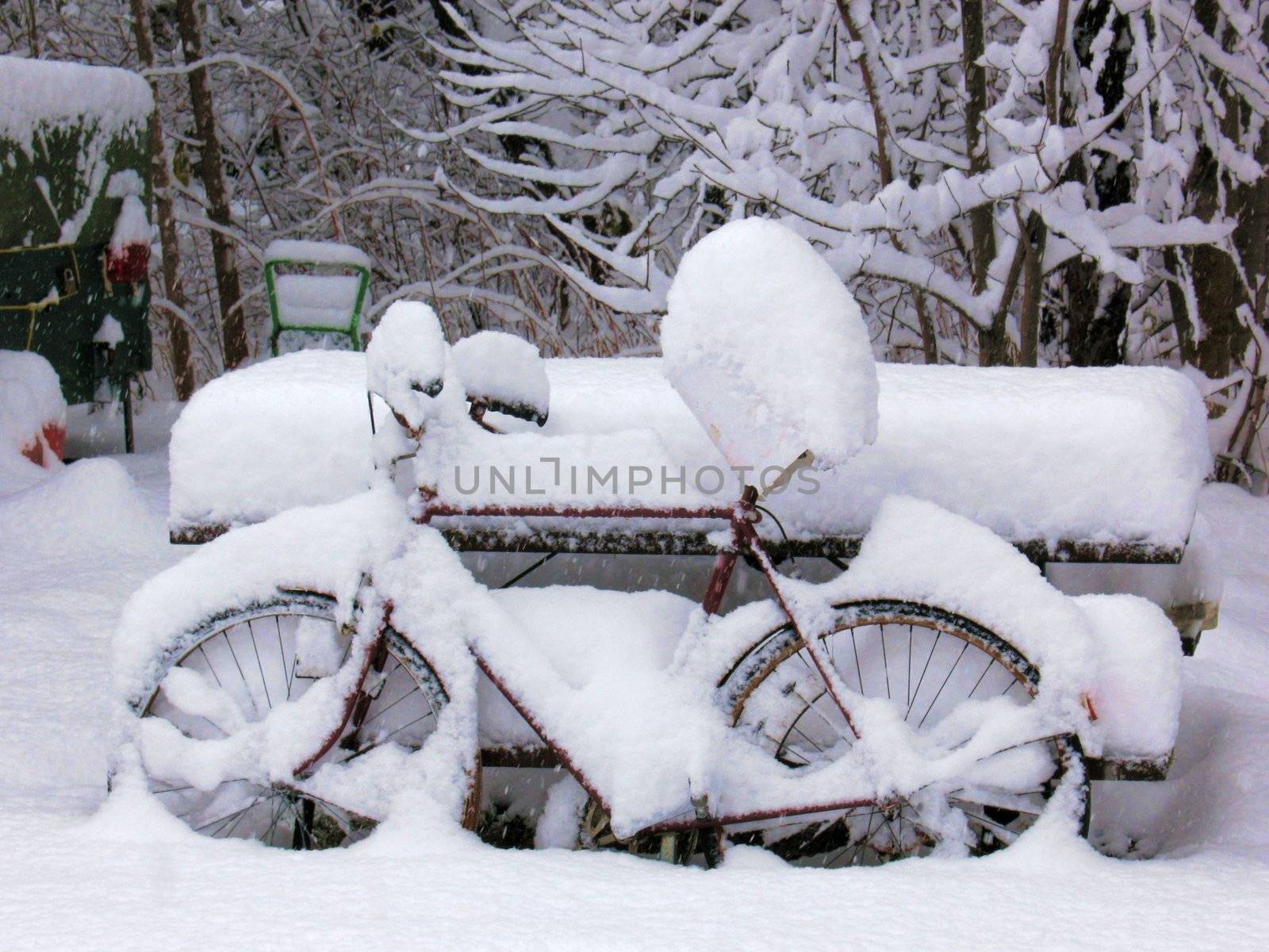 Snow Covered Bike by namdlo