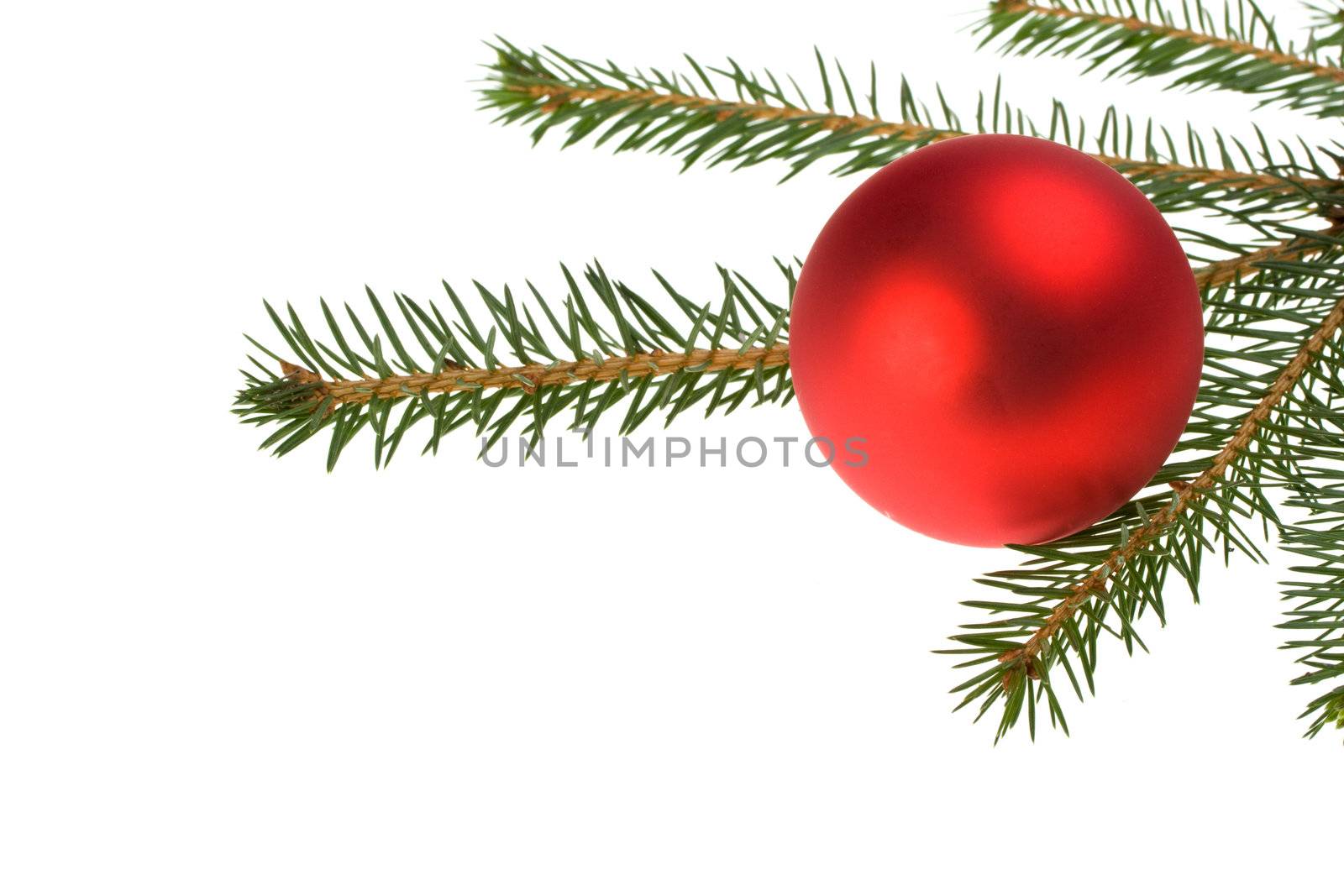 red christmas bauble and a twig isolated on white background by bernjuer