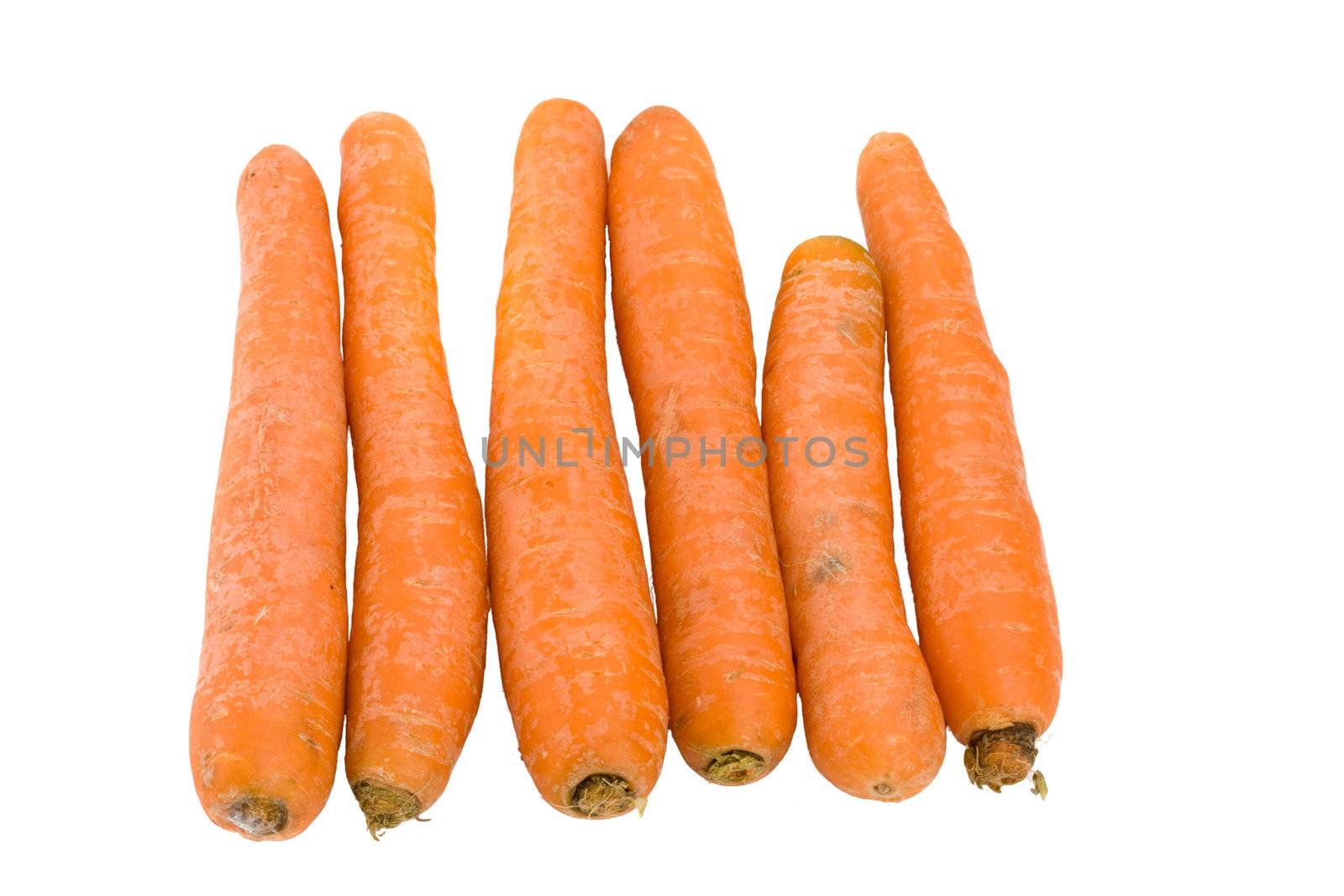 six carrots over white background by bernjuer