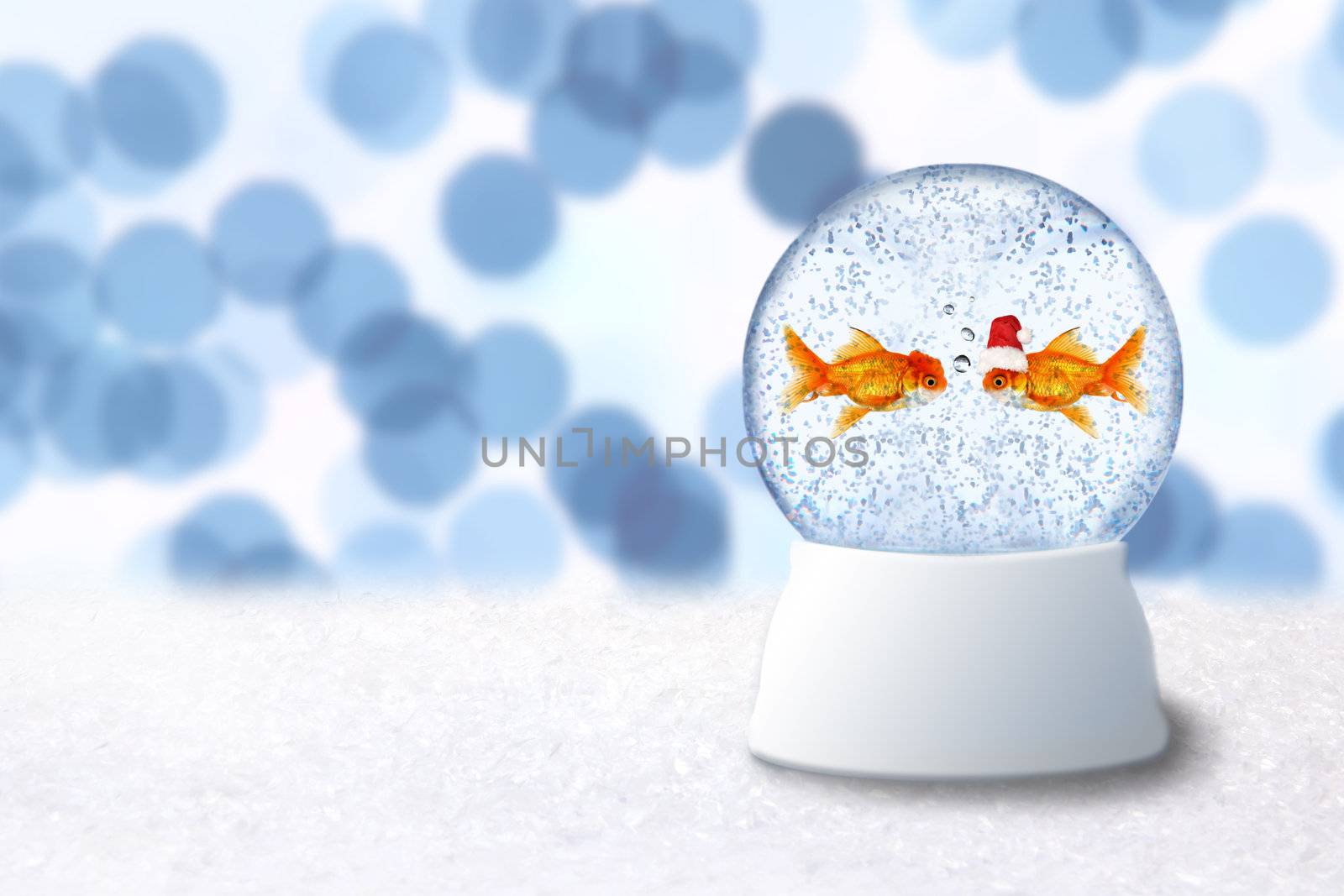 Christmas Snow Globe With Goldfish Santa Inside by tobkatrina