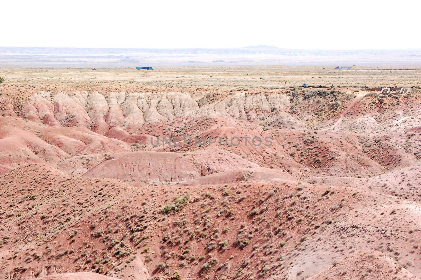Petrified Desert by RefocusPhoto