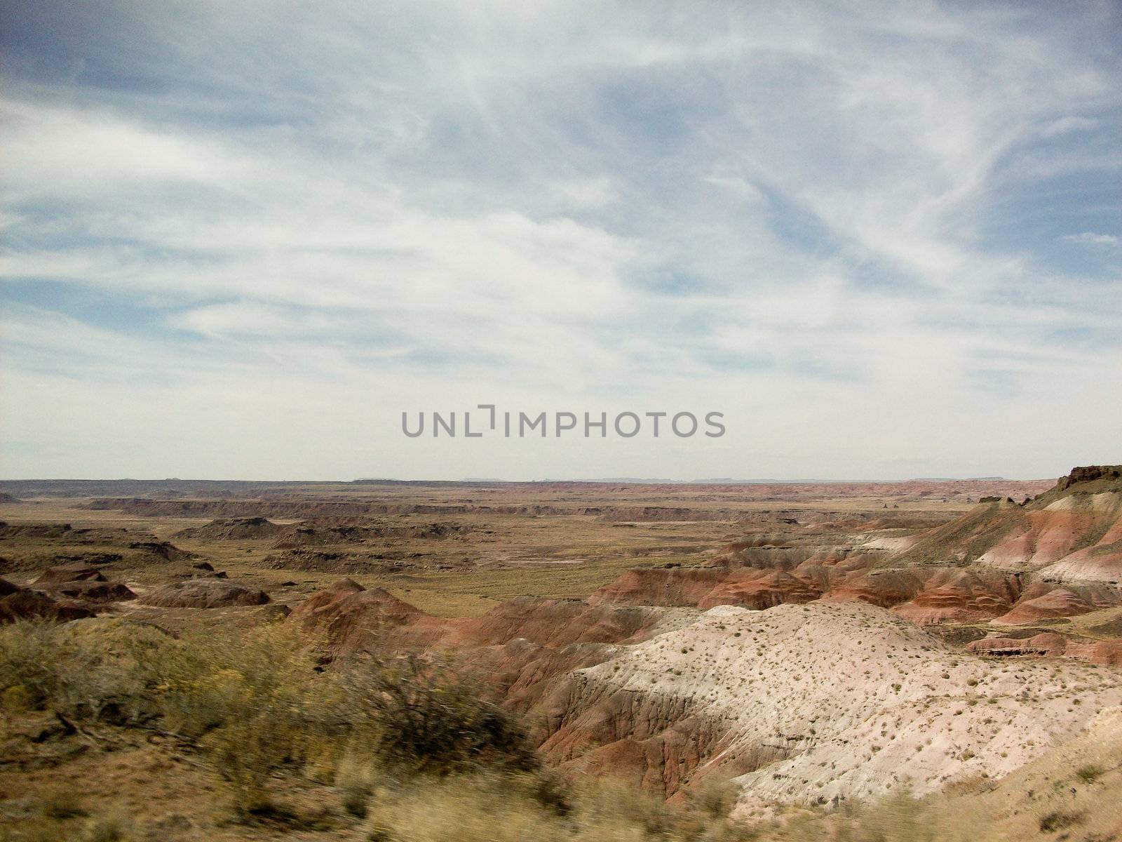 Petrified Forest and the Horizon by RefocusPhoto