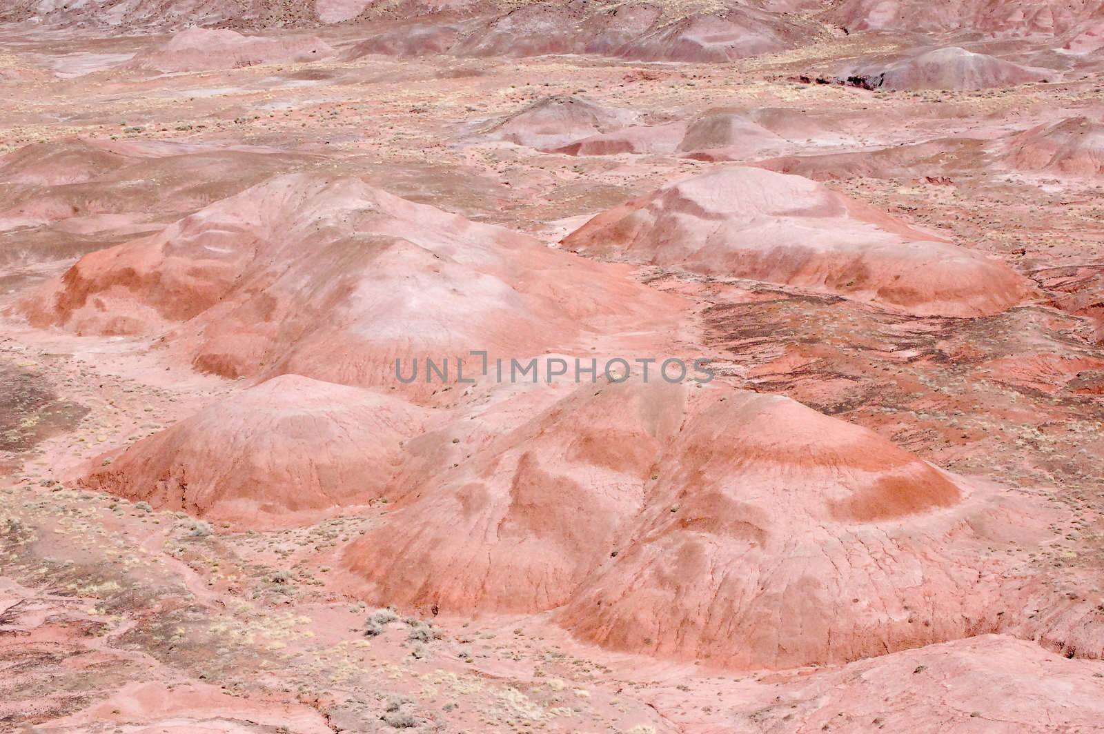 Petrified Forest Hills by RefocusPhoto