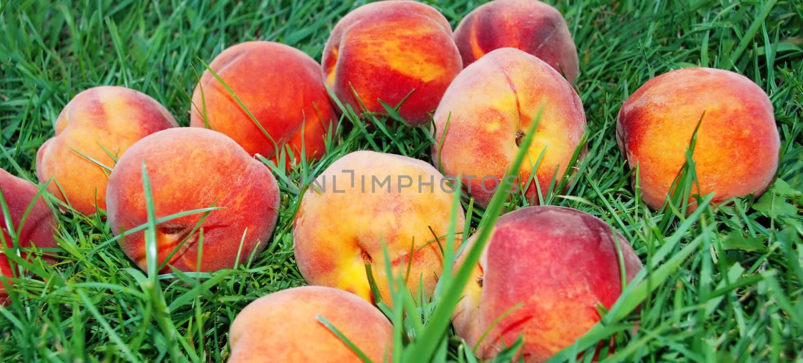 fresh rape appetizing peach over green grass