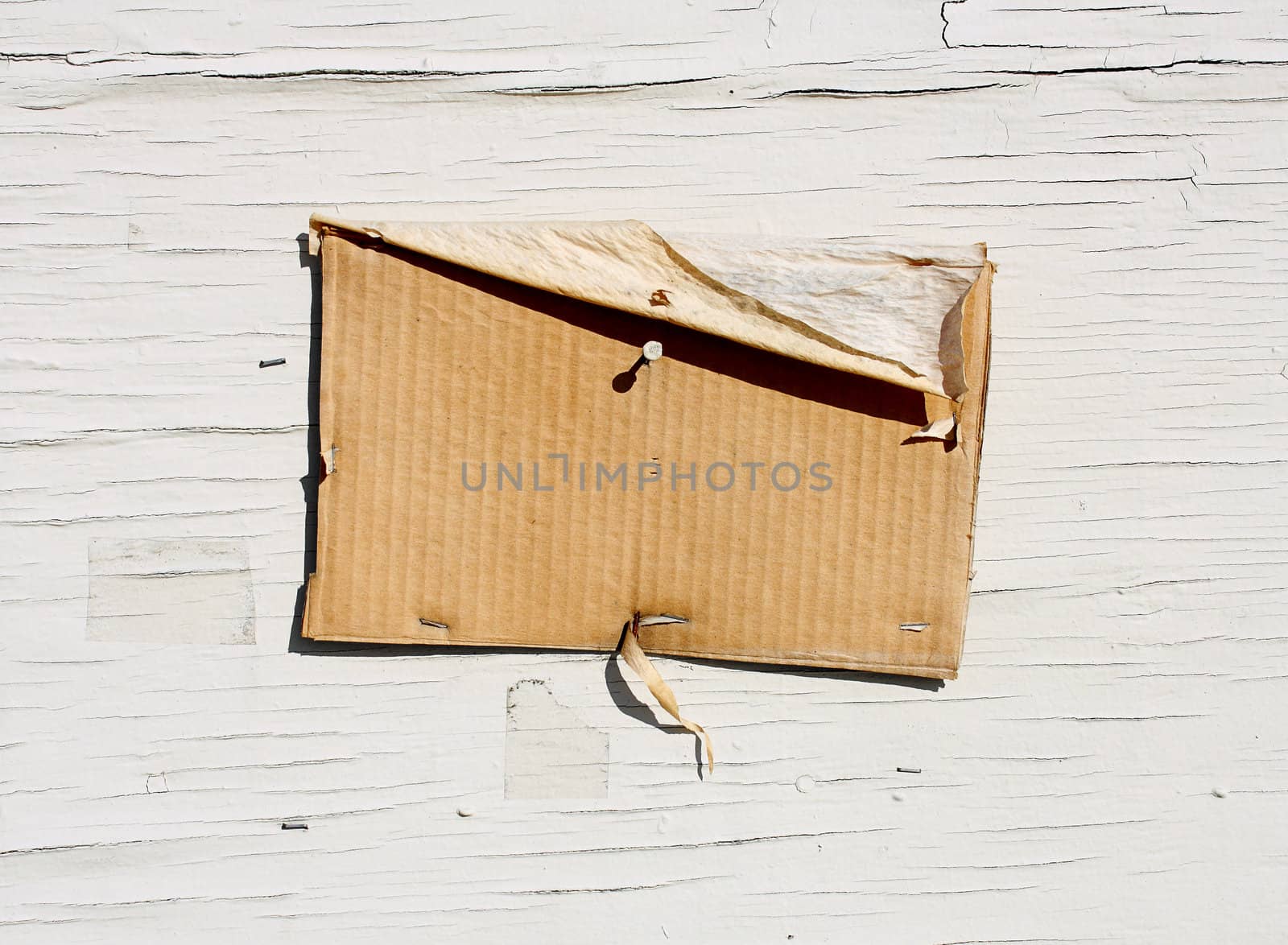 Shot in bright sunlight, this is a close up of a weathered blank cardboard sign nailed and stapled to a wood wall.  The wall is painted white and is also weathered and distressed.
