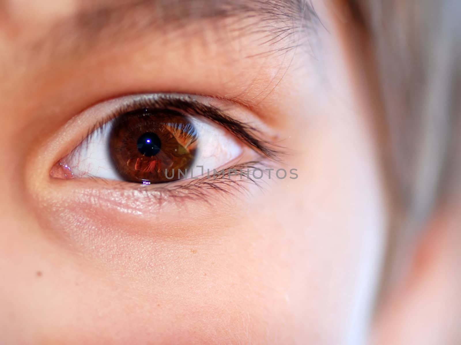 human brown opened beautiful eye close up