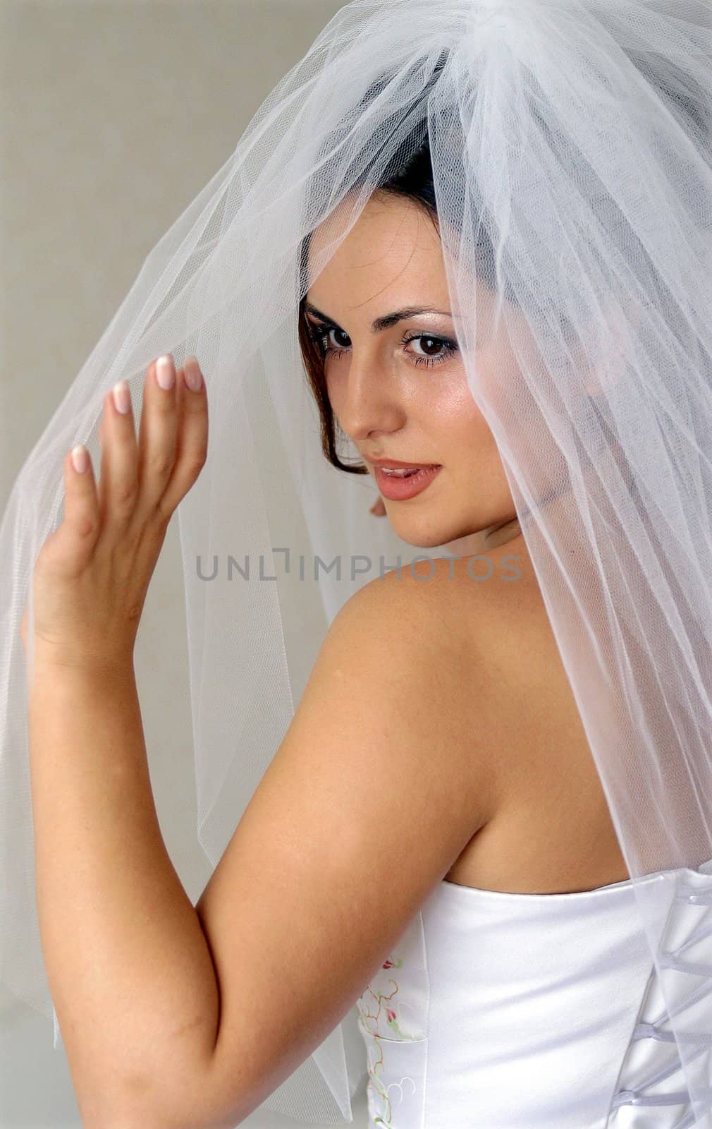 Portrait of beautiful bride in white with veil, rear view.