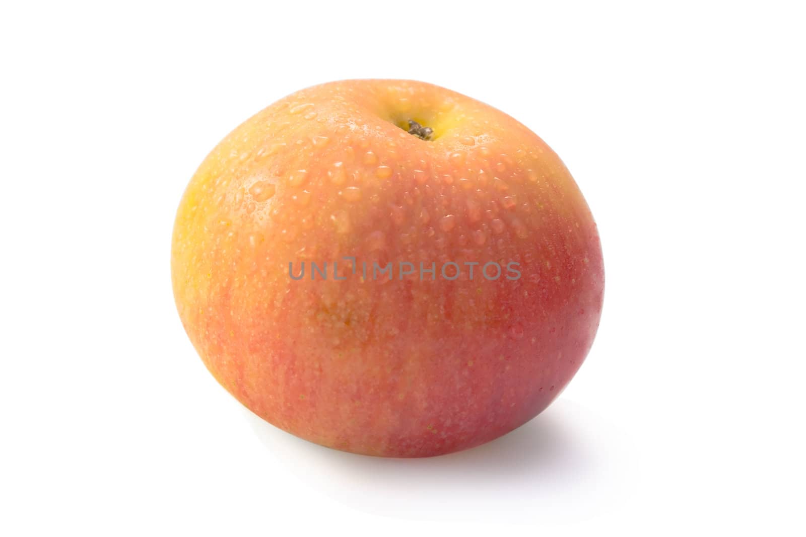 Damp apple with water drops on a white background