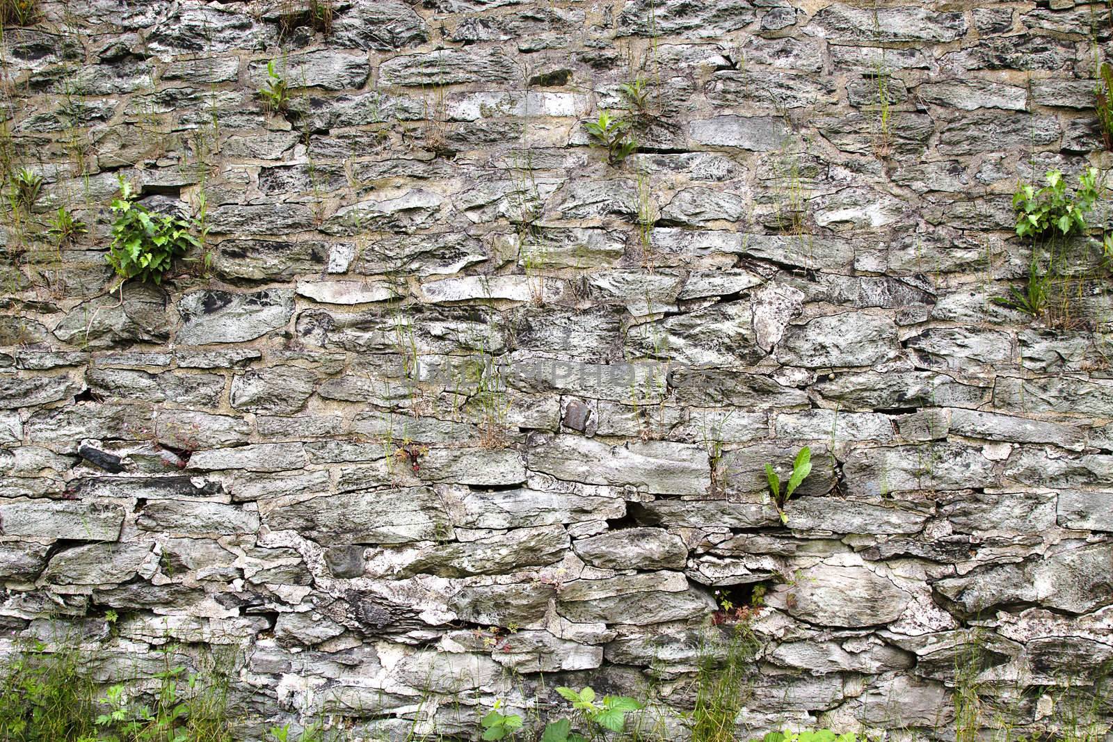 background texture of an ancient wall