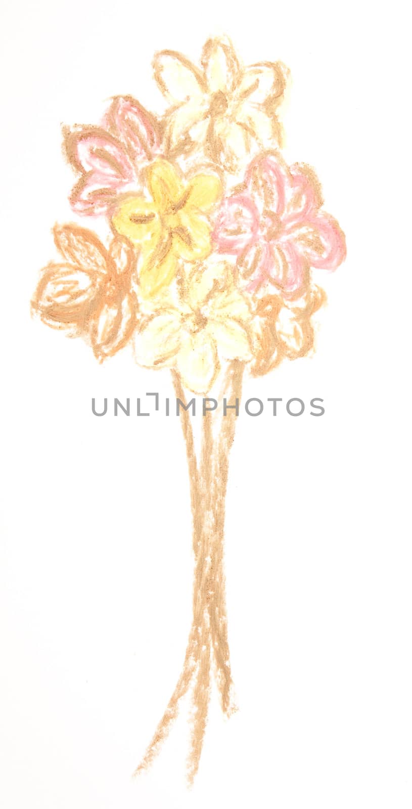 Flowers drawn with wax chalk isolated on white