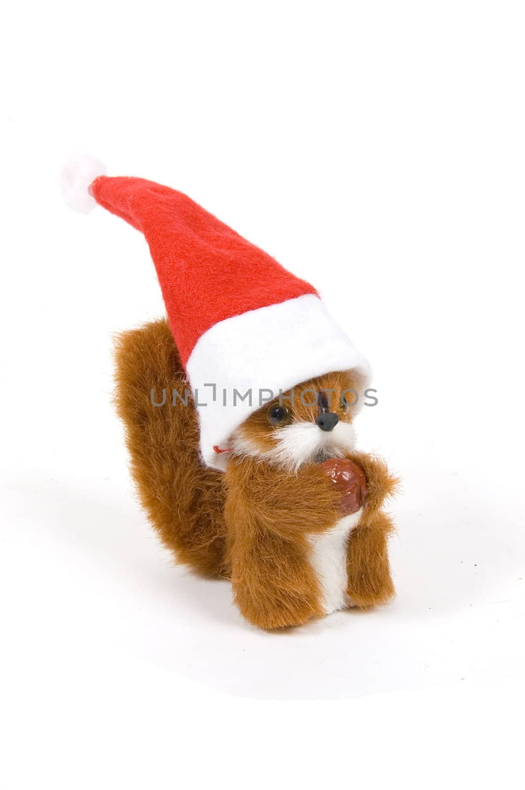 cute plushy squirrel wearing a christmas hat on white