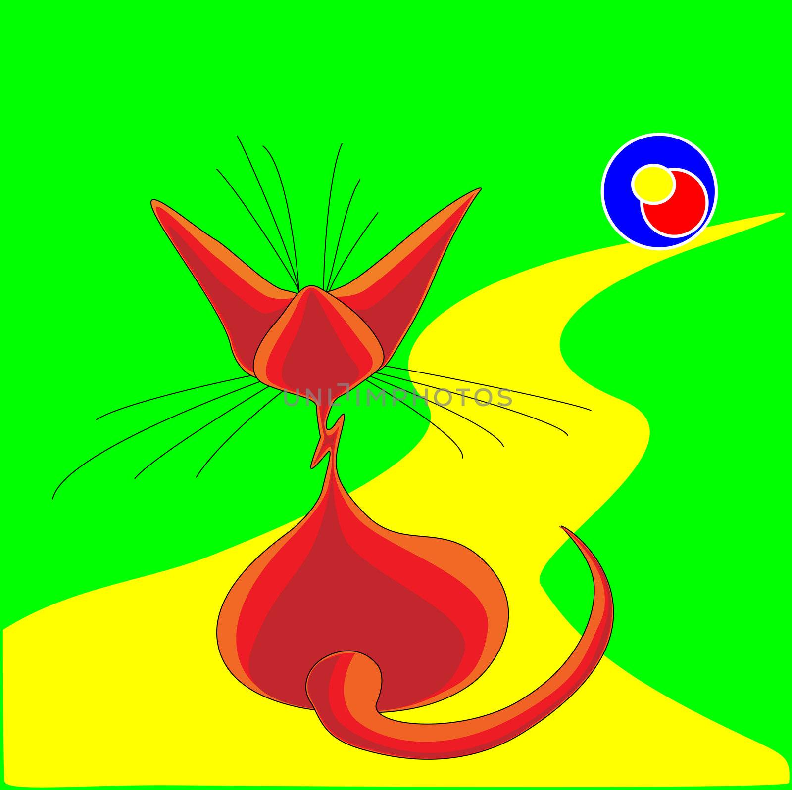 cat sitting, sphinx purebred, pet, looks at the ball, watching the ball, the yellow trail, the road runs, a cat red, green grass, the ball color, long whiskers and tail, big ears