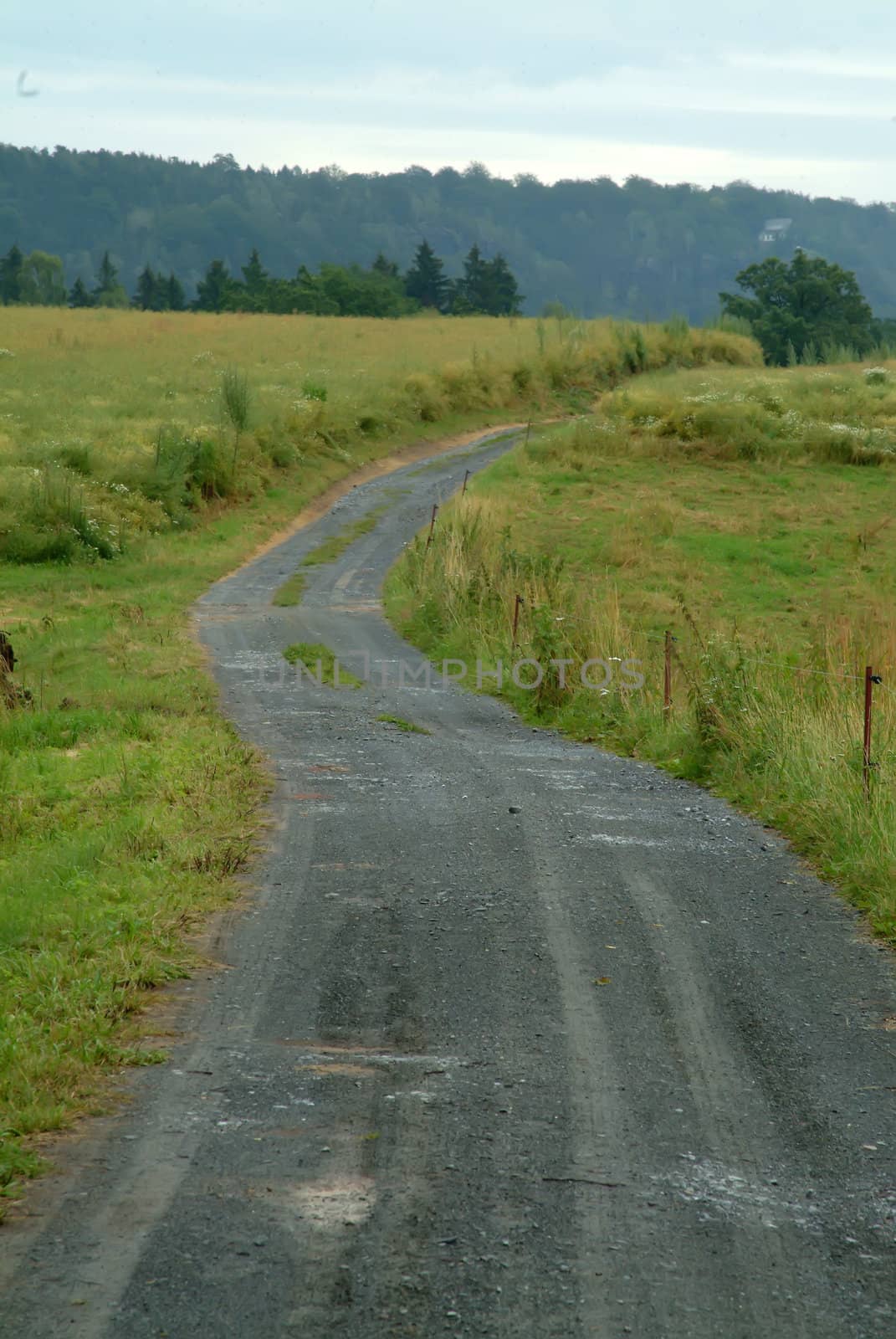 winding field road by rongreer