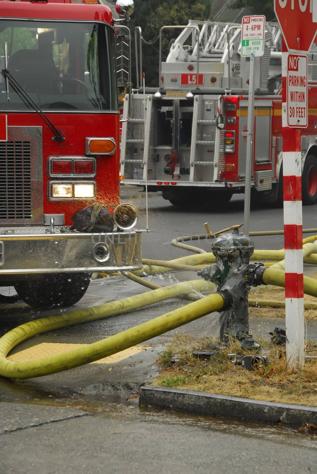 fire trucks and hydrant by rongreer
