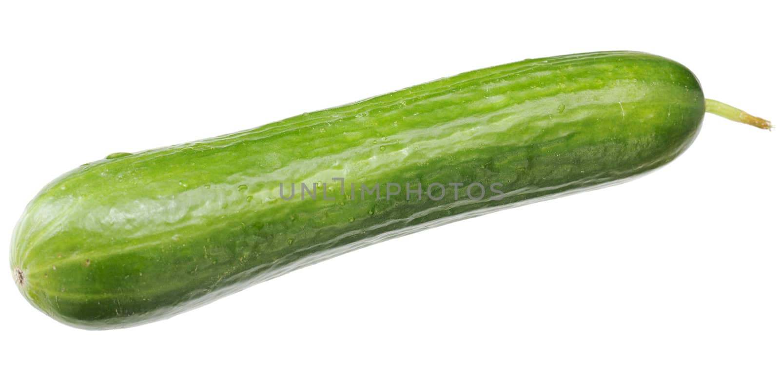A long green fresh cucumber with a sticking out sprig lying on a table