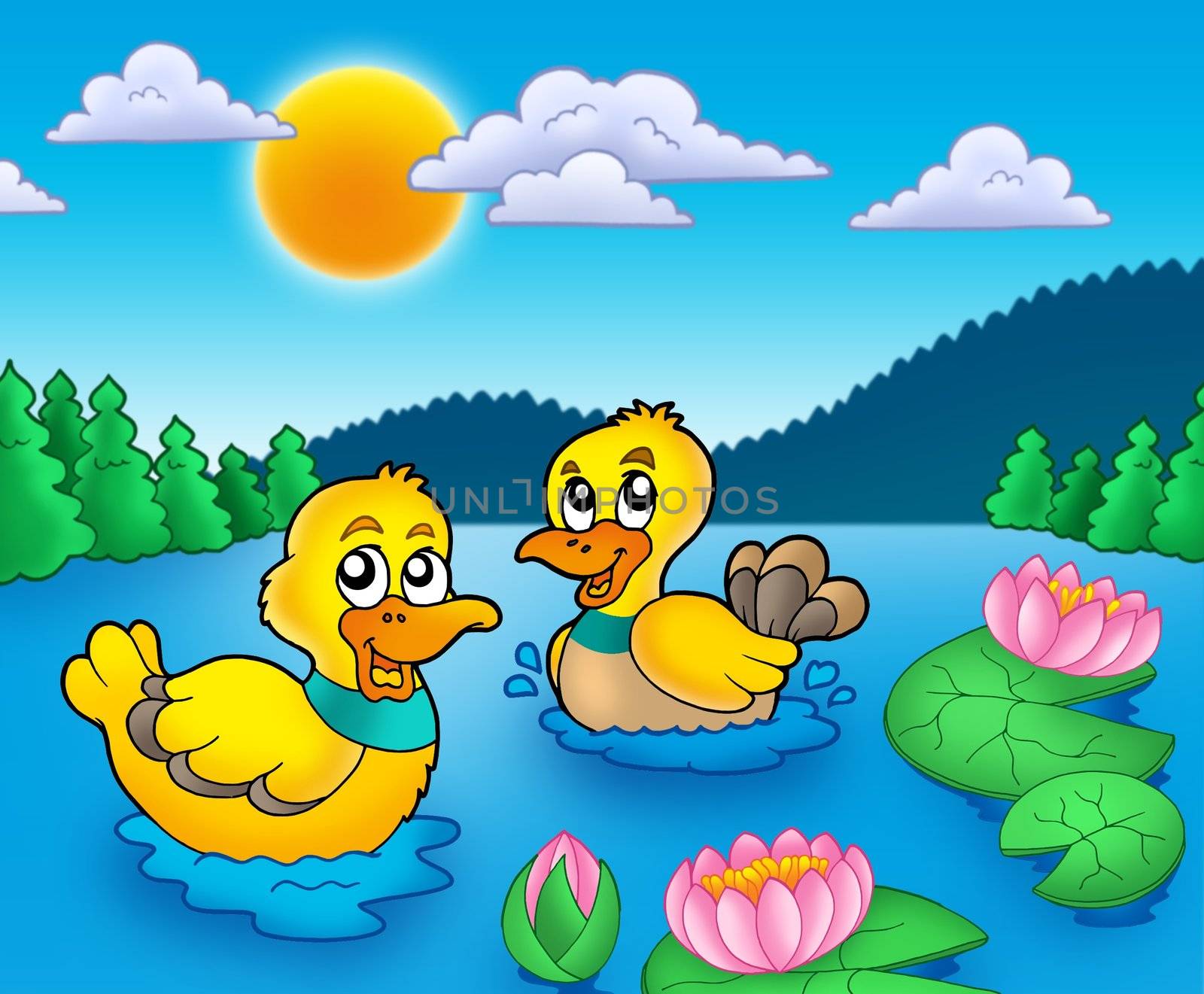 Two ducks and water lillies - color illustration.