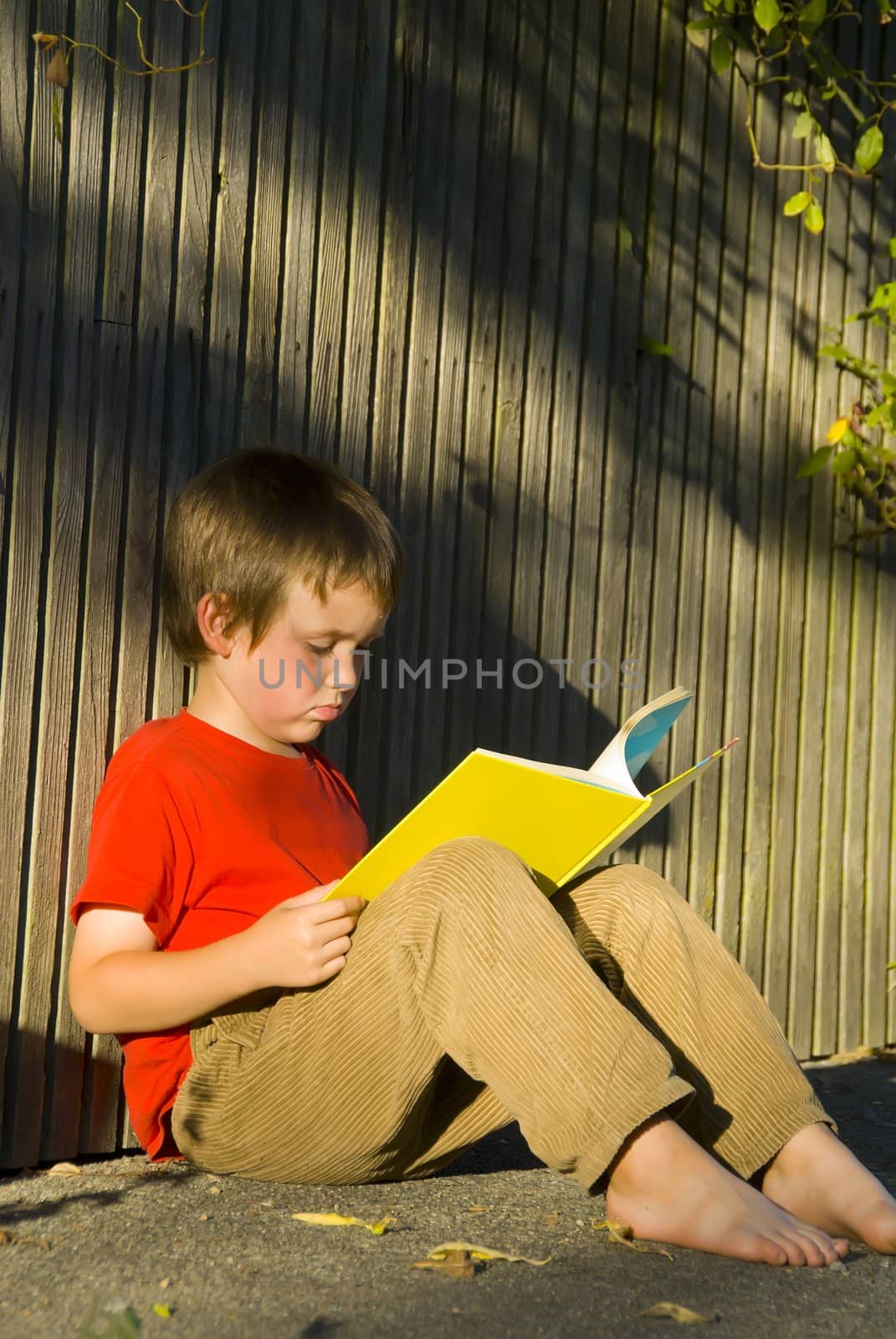 boy reading book by rongreer