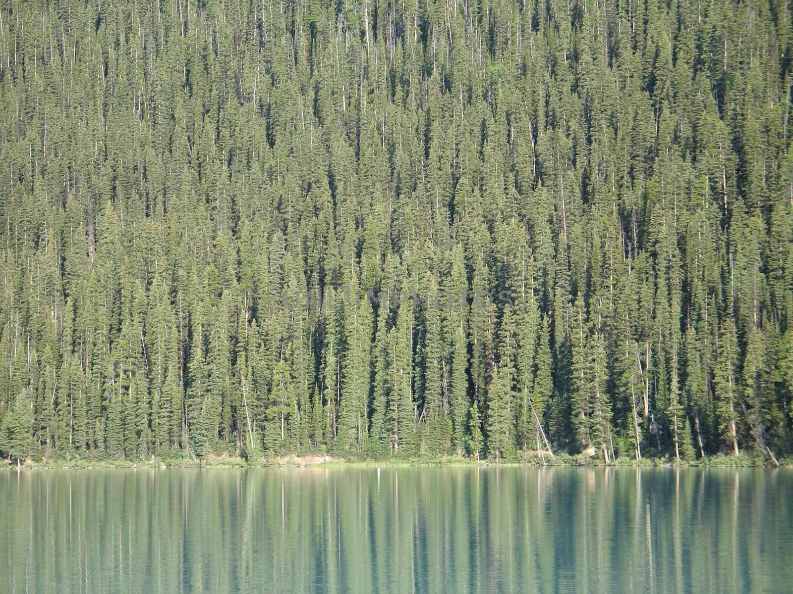 calm lake