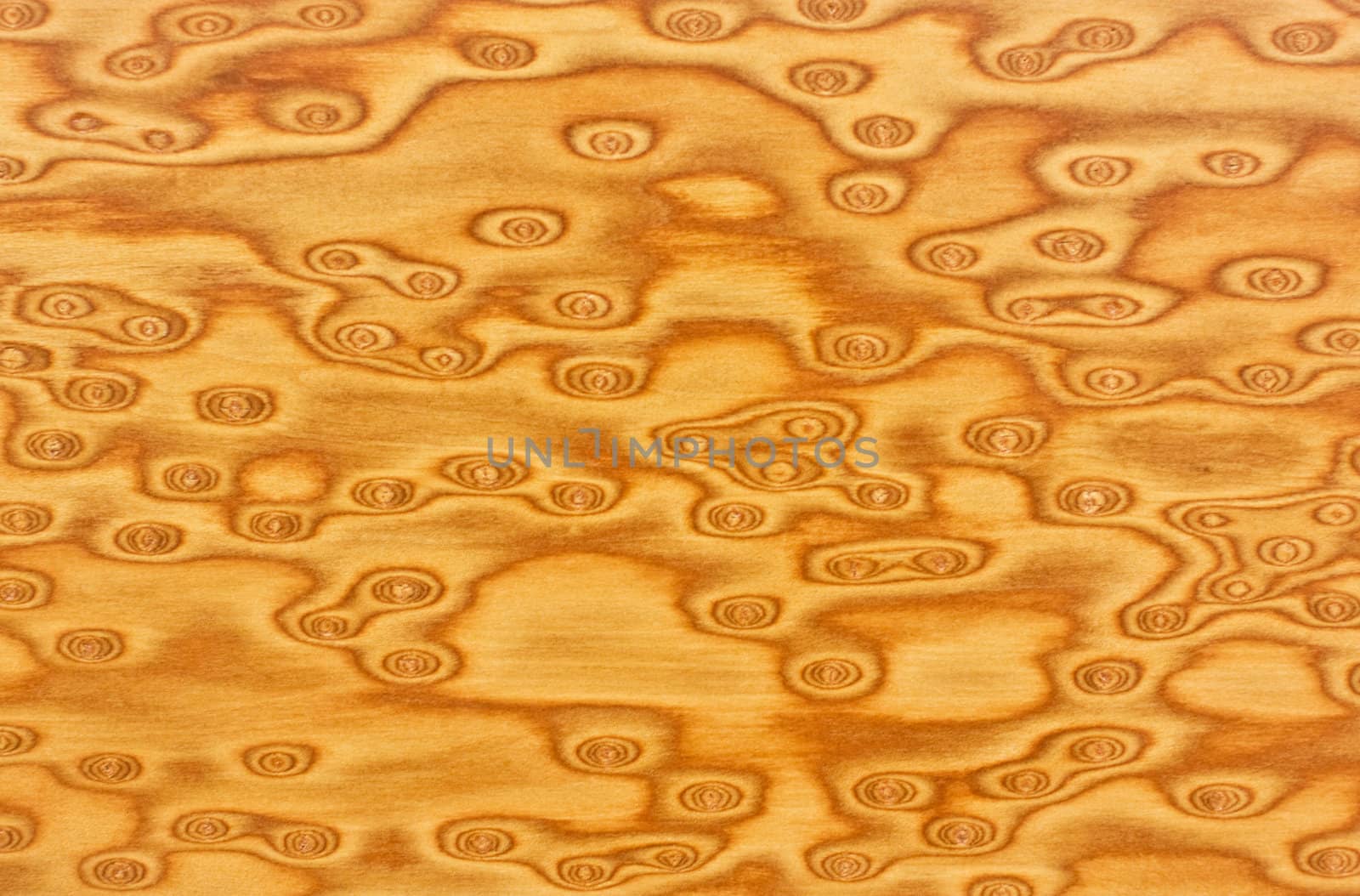 Wood texture close-up for background