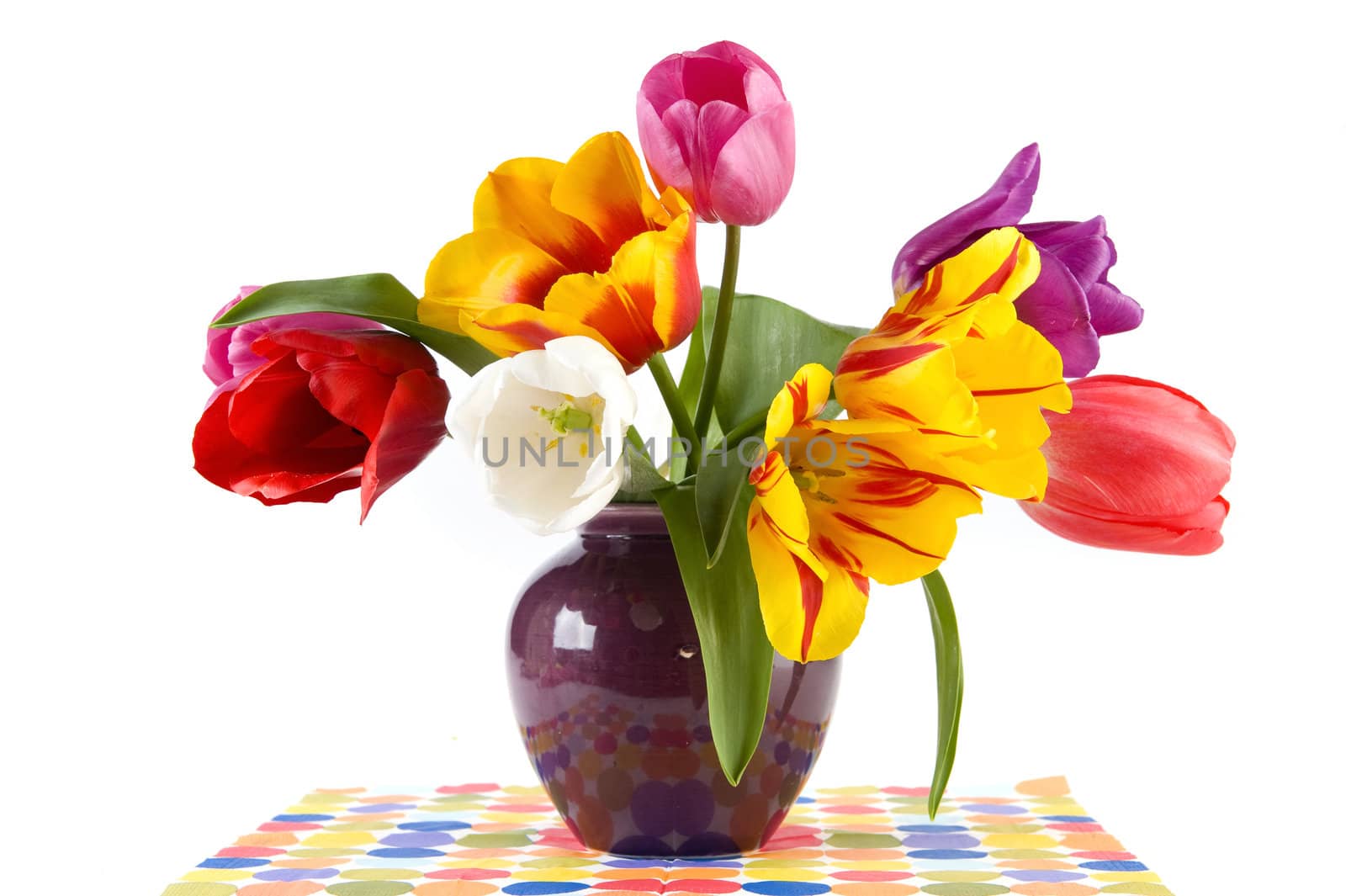 beautiful tulips in a vase